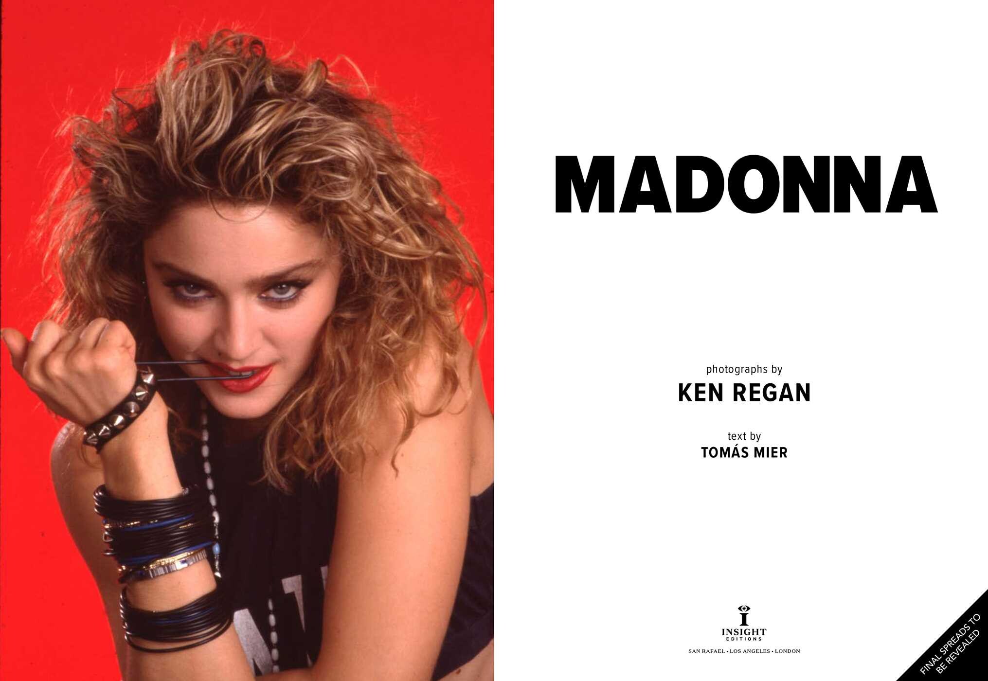 Madonna: Into the Groove