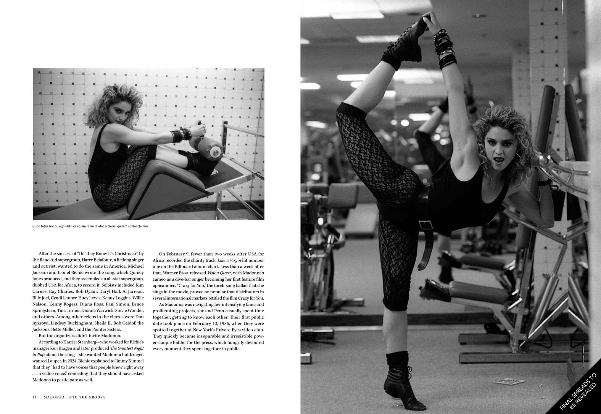 Madonna: Into the Groove