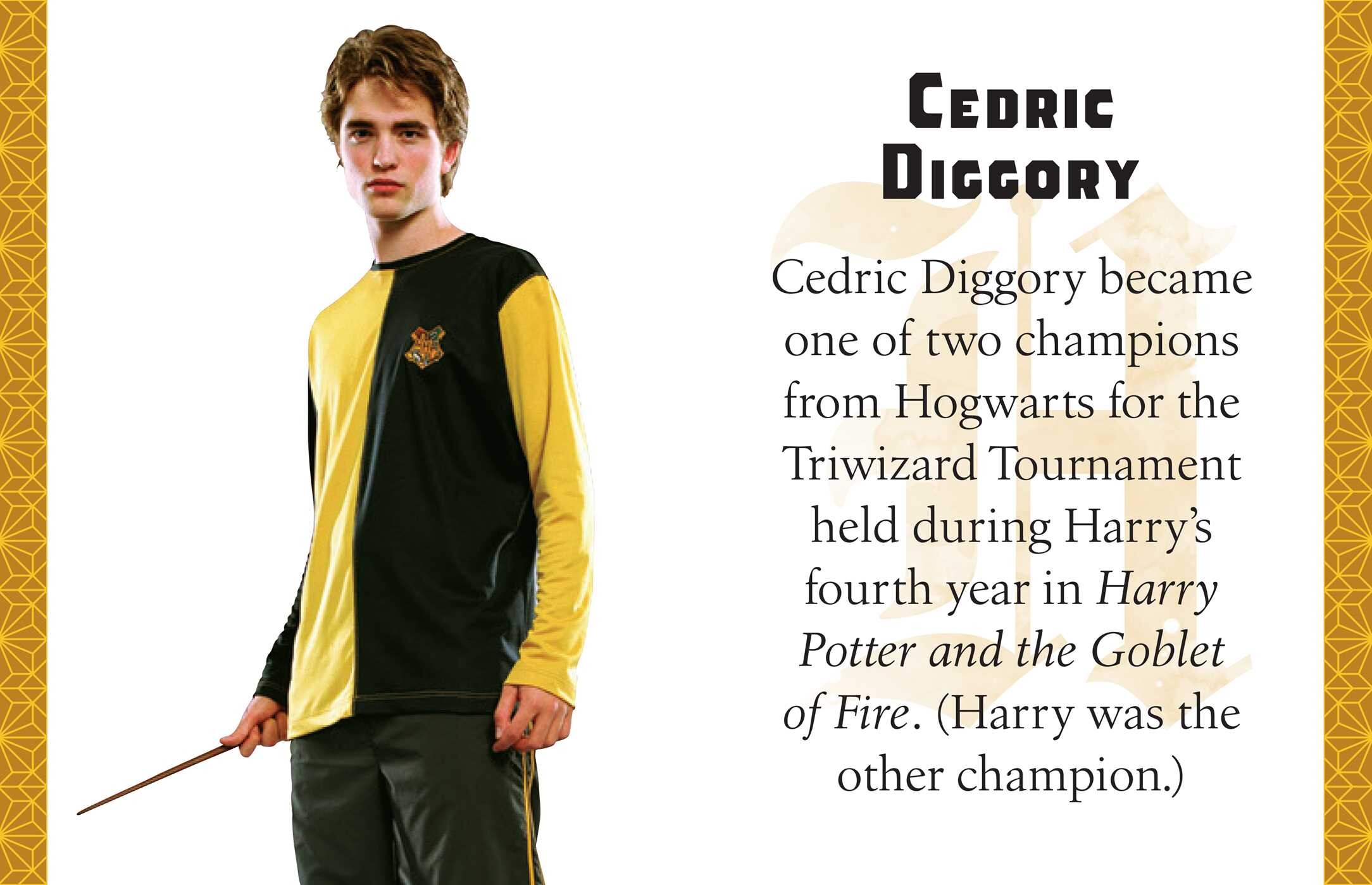 Harry Potter: Hufflepuff (Tiny Book)