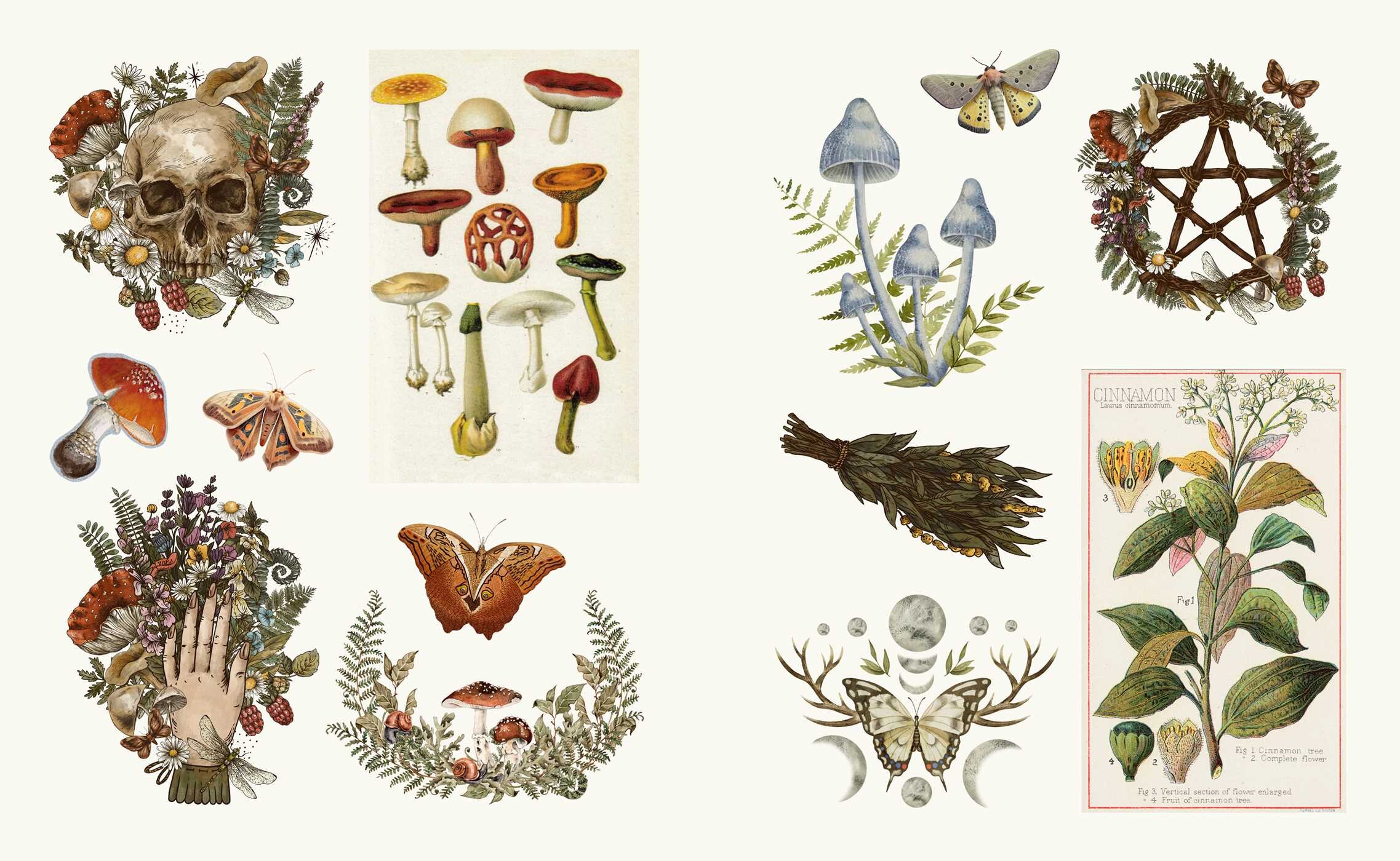 Mystical Esoterica Sticker Book