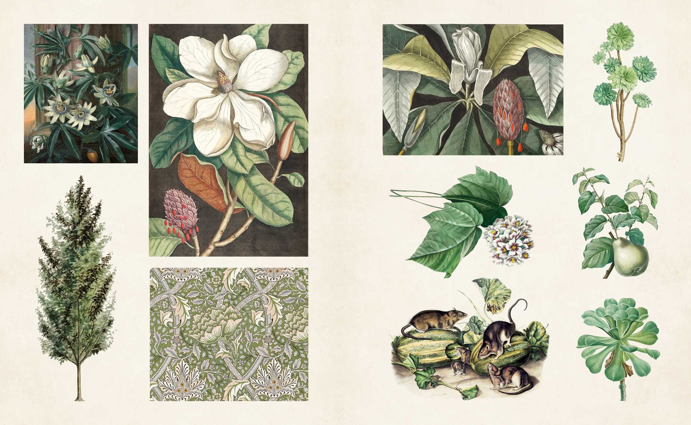 Vintage Botanical Sticker Book