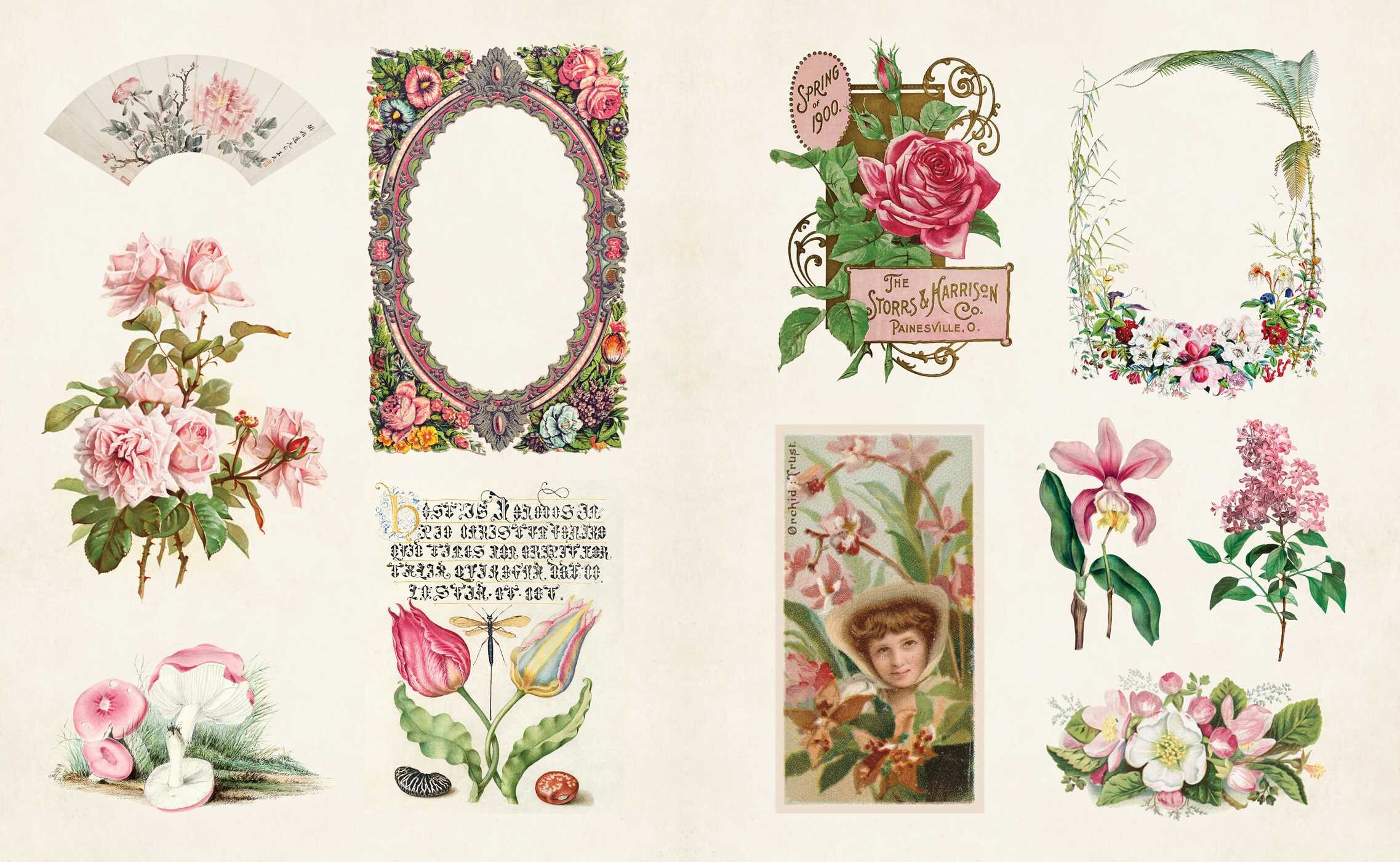 Vintage Botanical Sticker Book