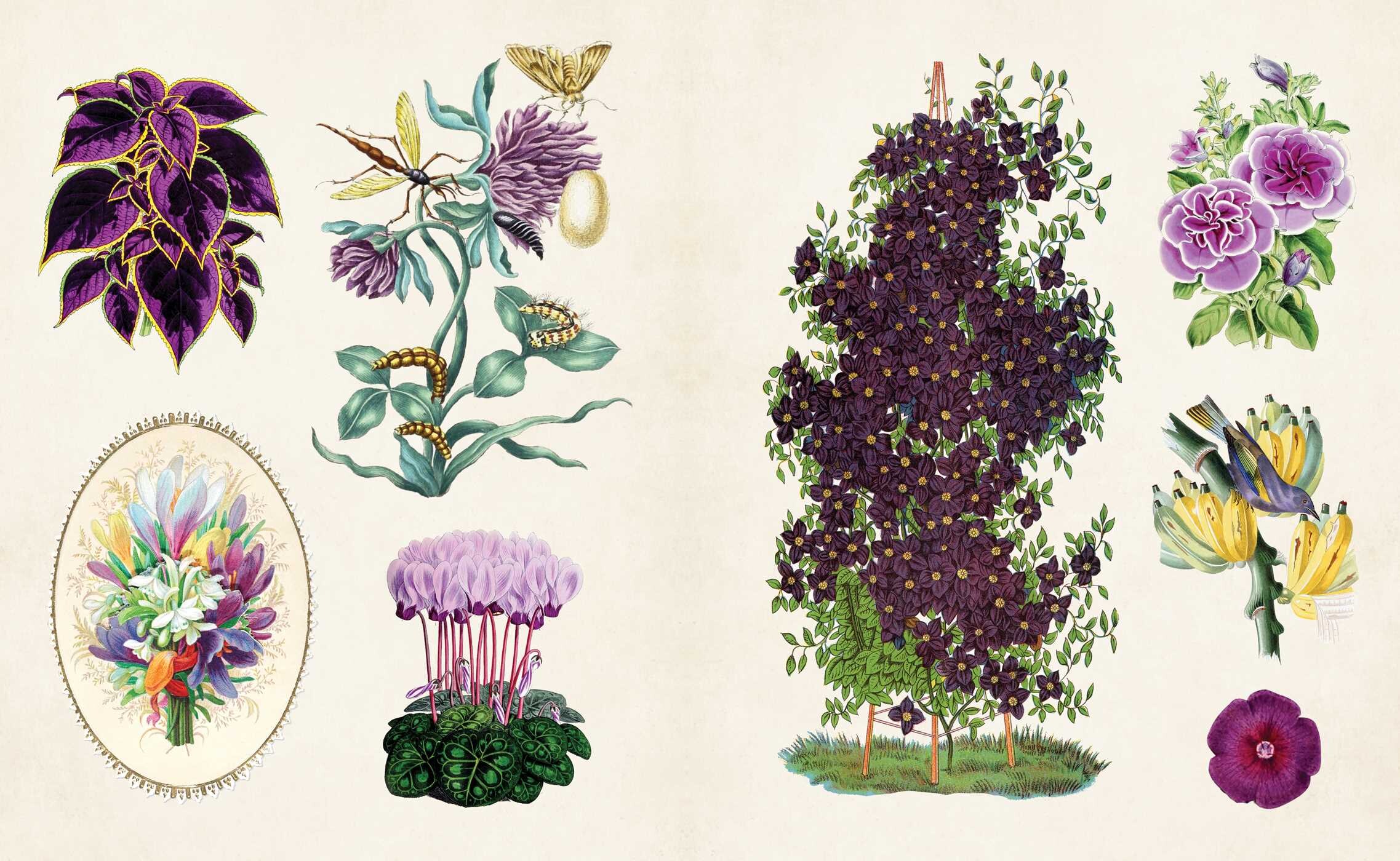 Vintage Botanical Sticker Book