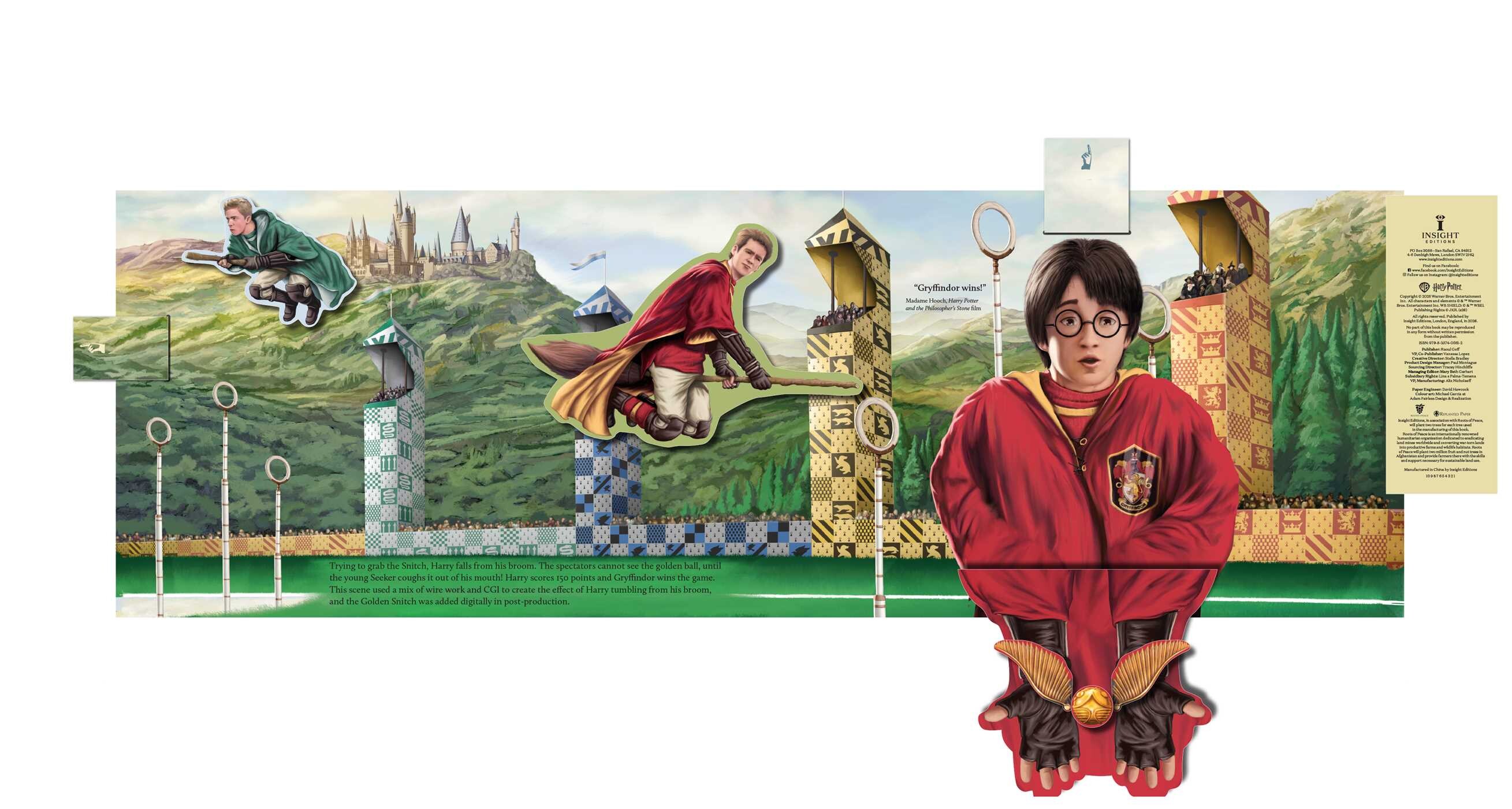 Harry Potter: Quidditch [IEUK]