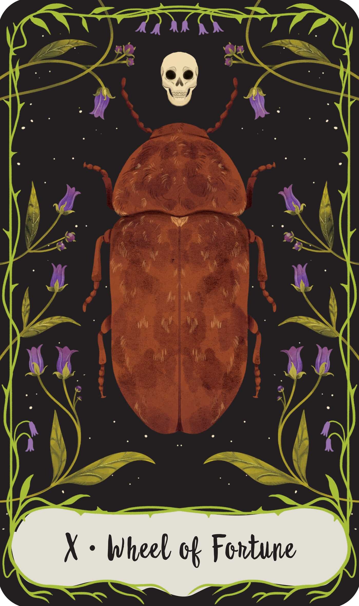 Practical Magic: The Motion Picture: The Official Tarot Deck and Guidebook