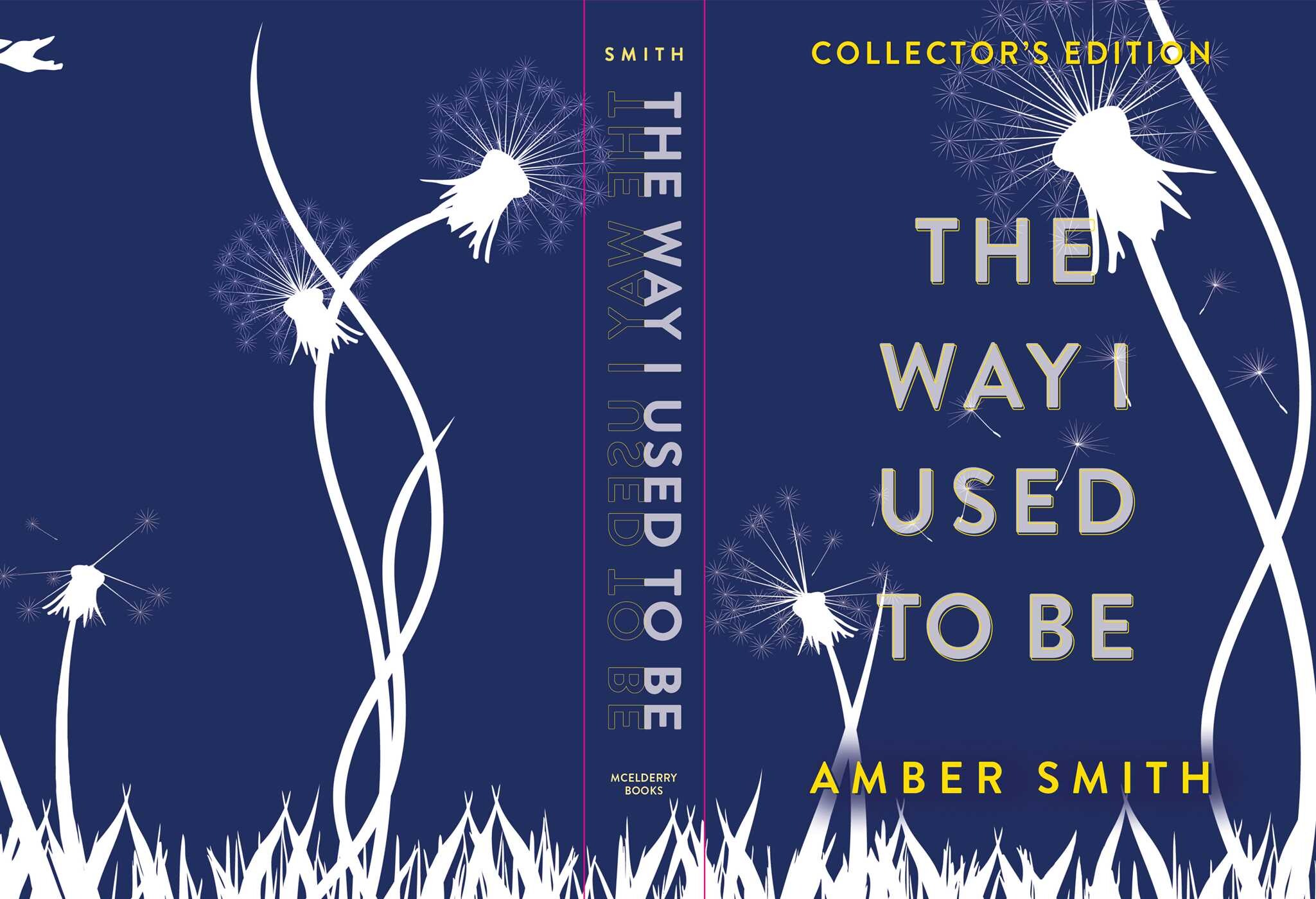 Way I Used to Be (Collector's Edition)