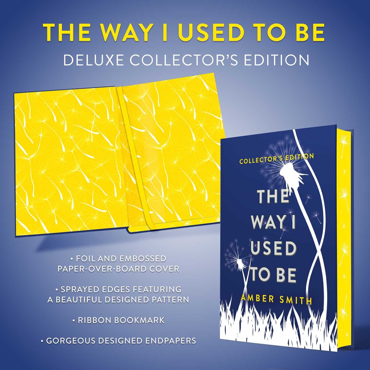 Way I Used to Be (Collector's Edition)