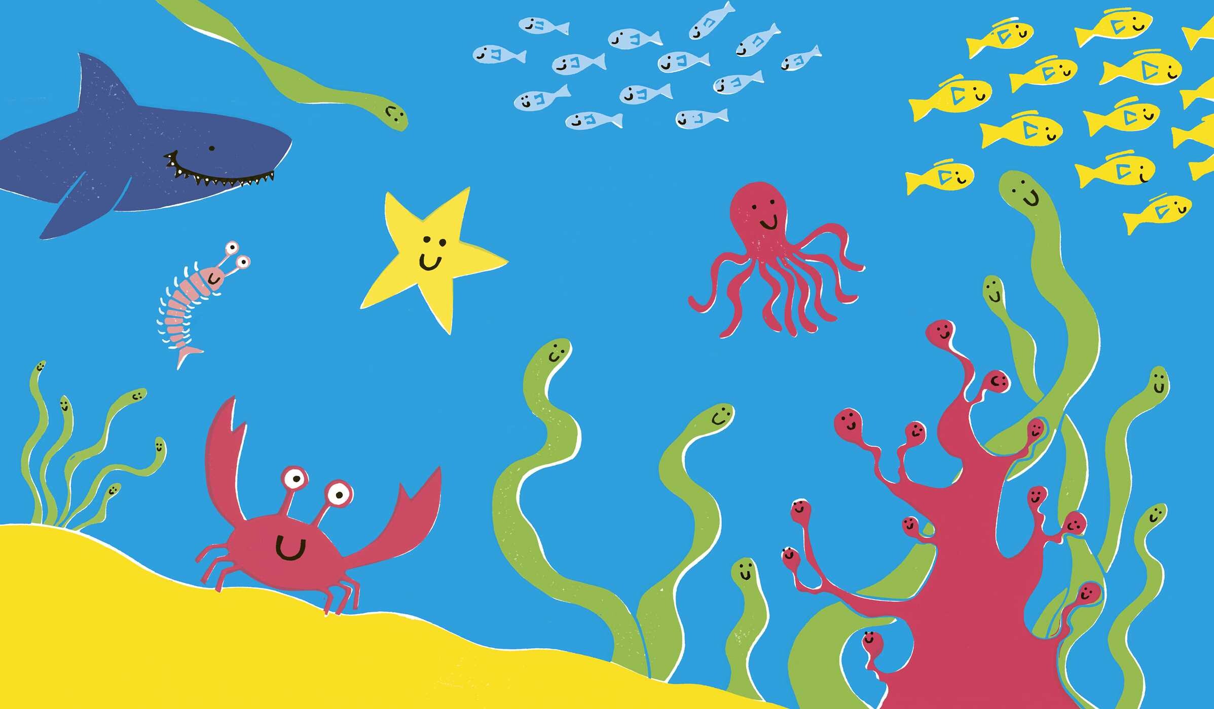 Seahorse Is Furious