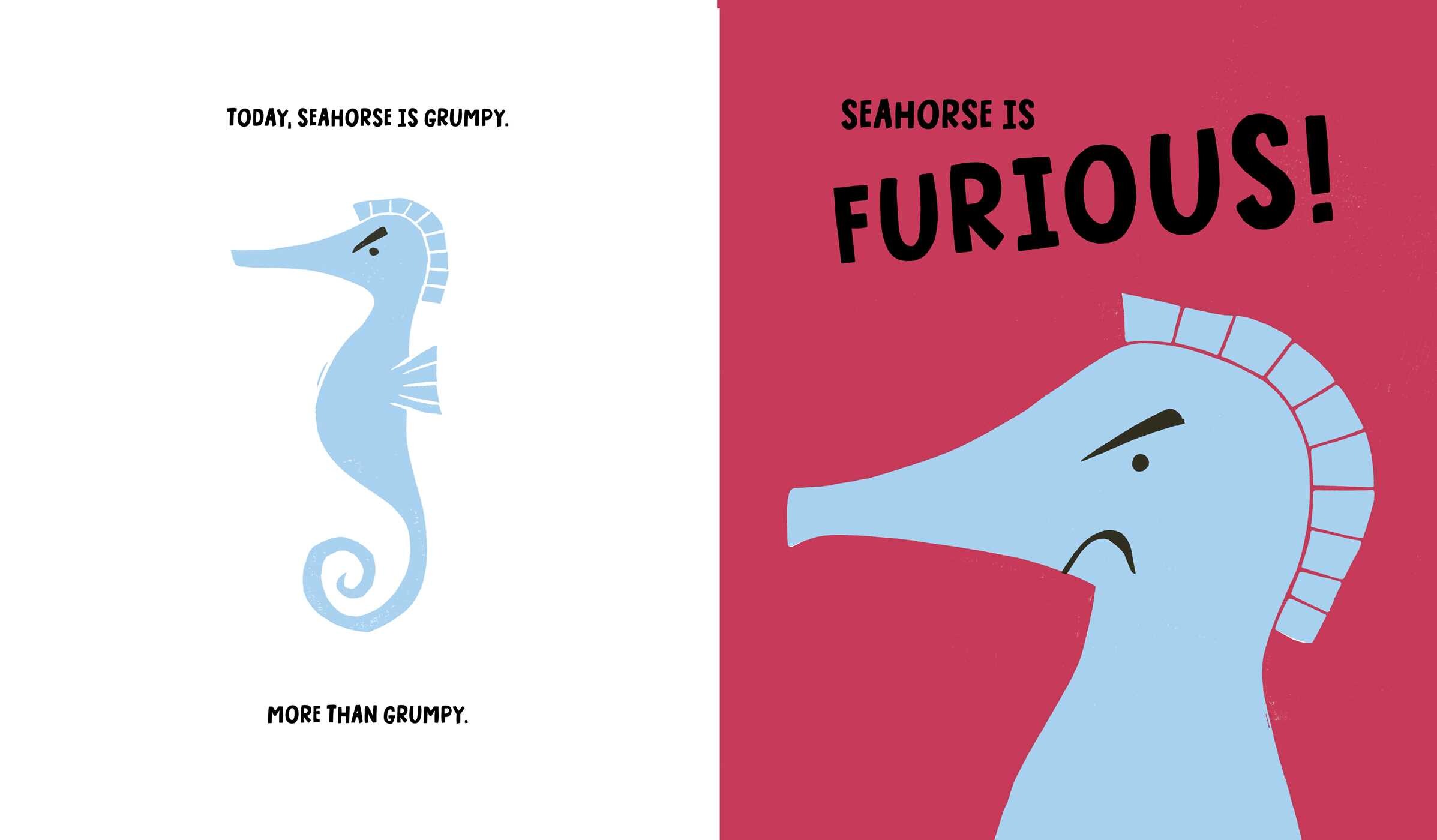 Seahorse Is Furious