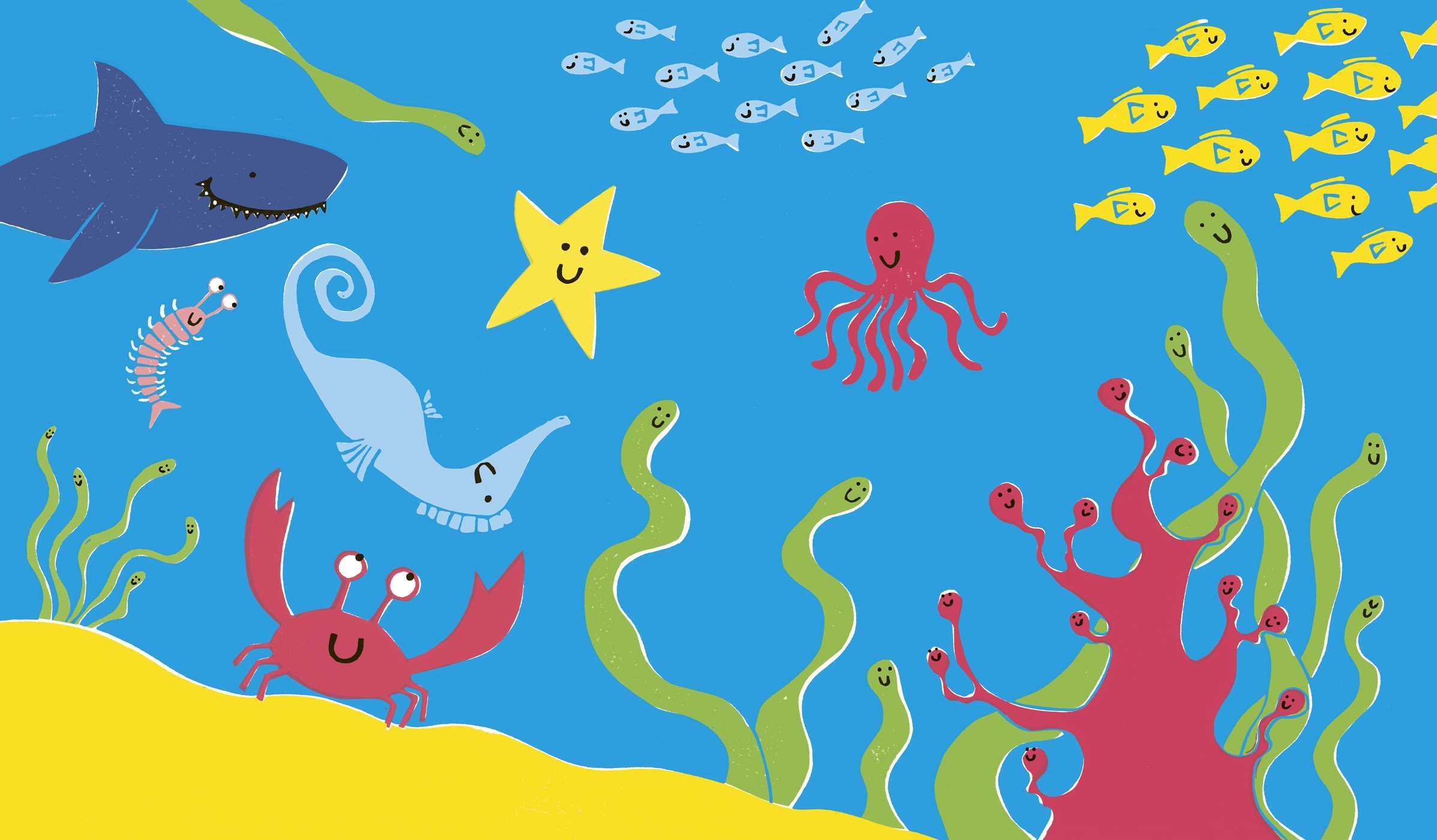 Seahorse Is Furious