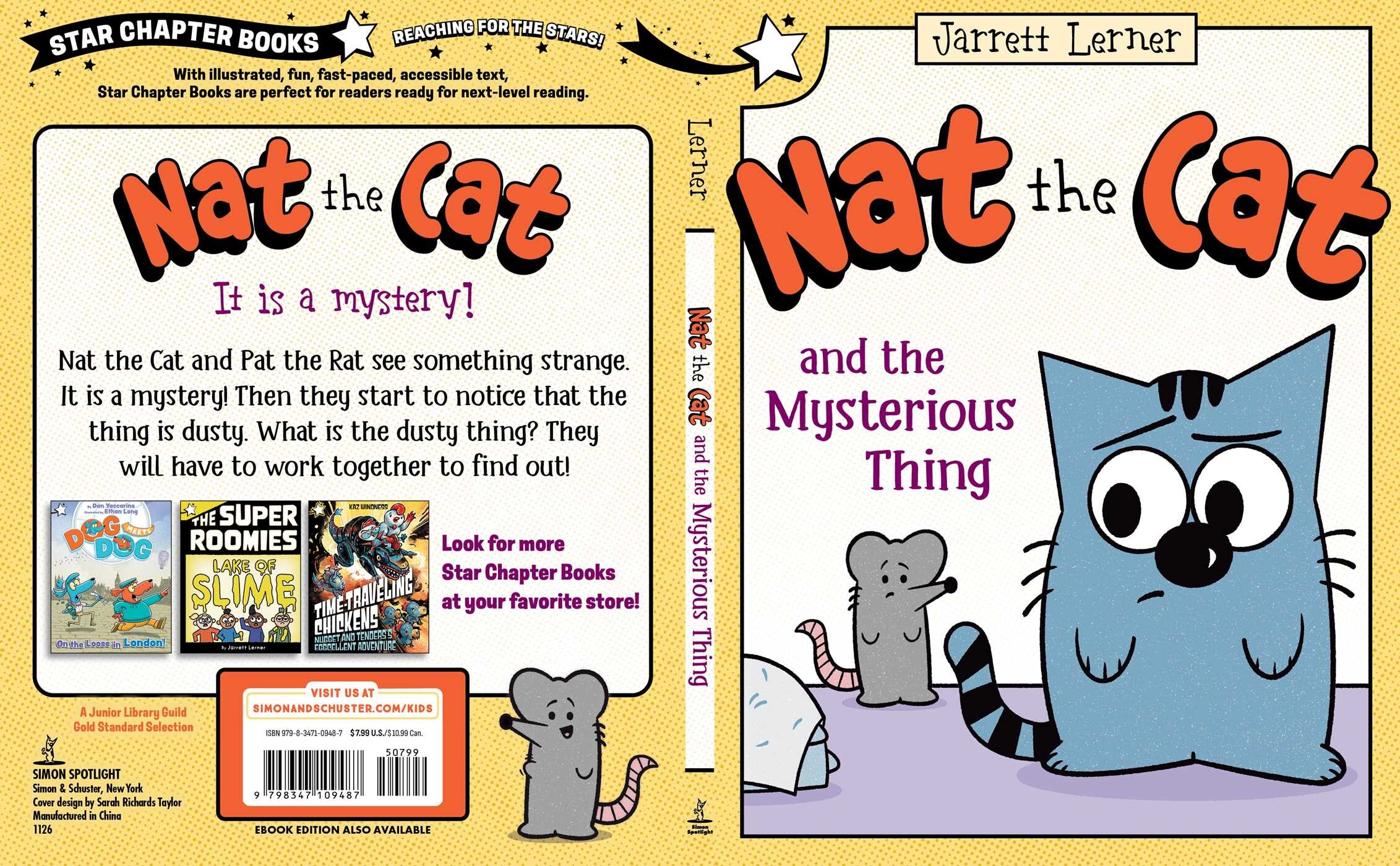 Nat the Cat and the Mysterious Thing