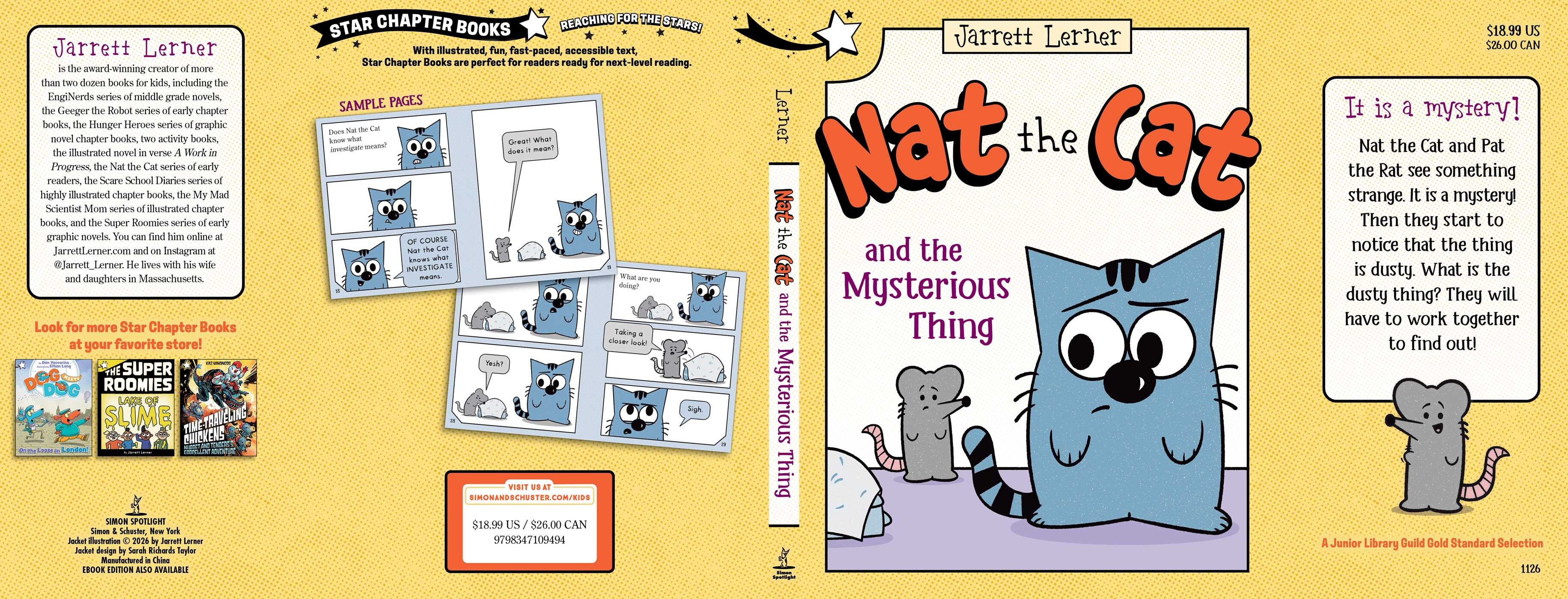 Nat the Cat and the Mysterious Thing