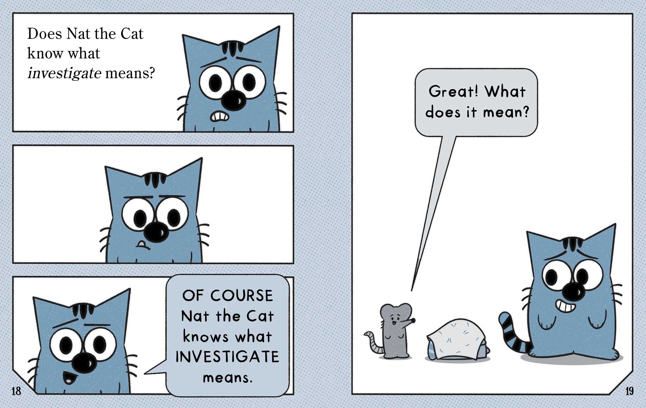 Nat the Cat and the Mysterious Thing