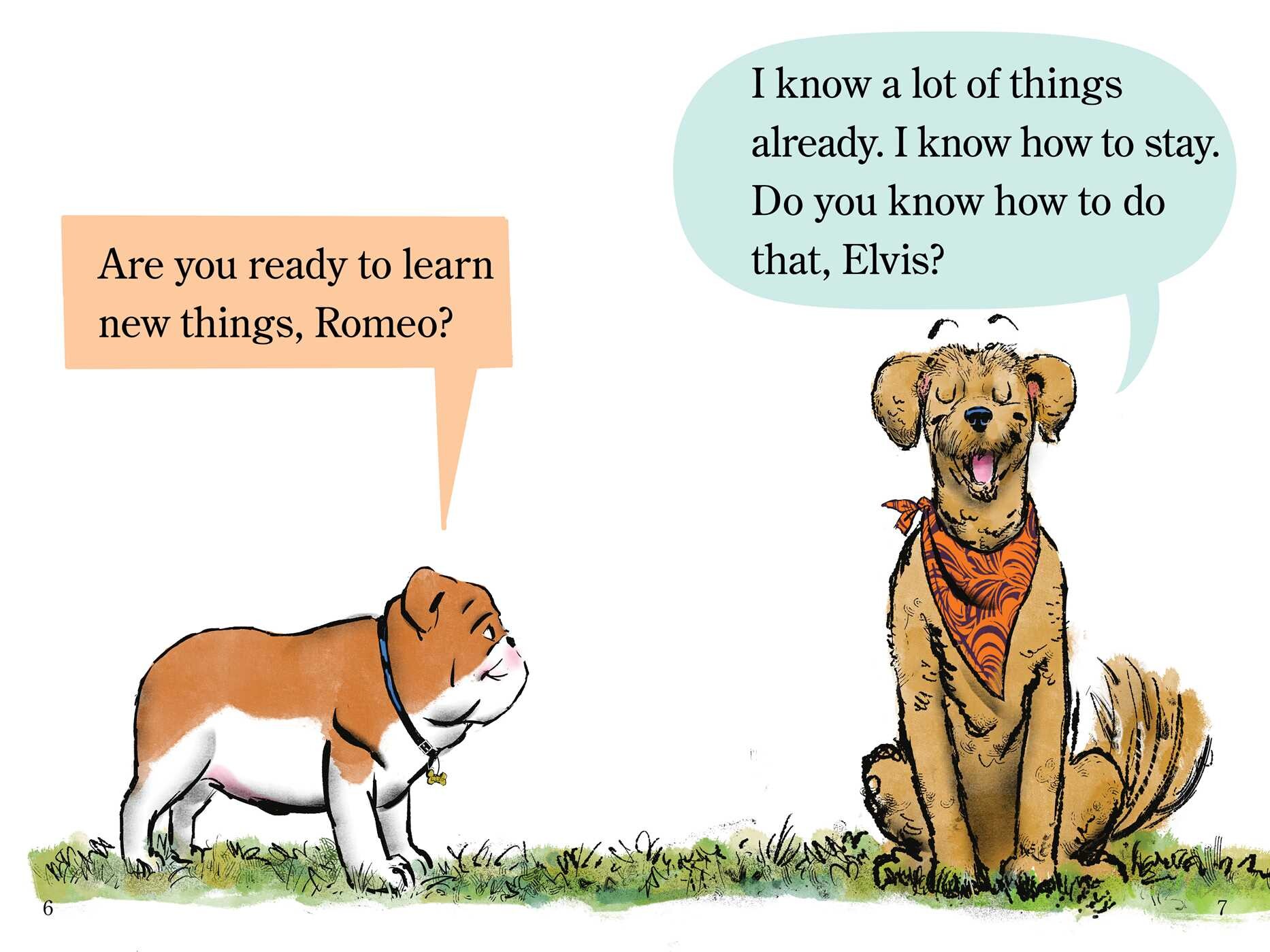 Big Book of Elvis & Romeo