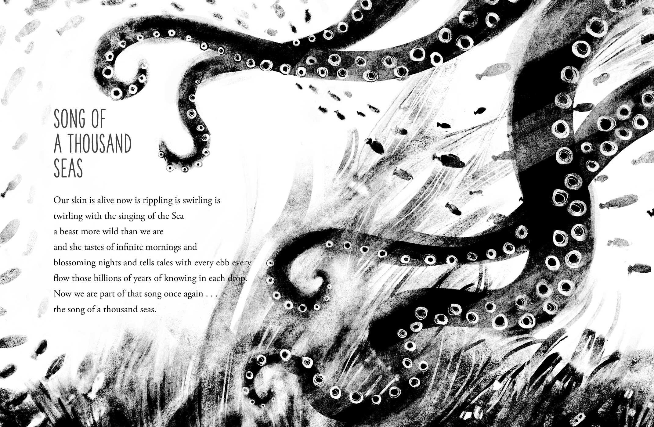 Octopus Named Houdini