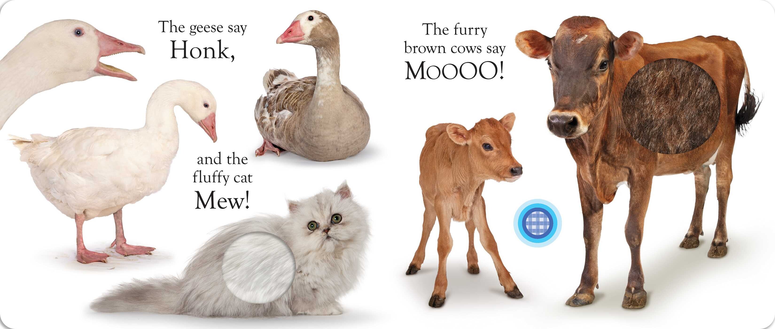 Press Hear Moo