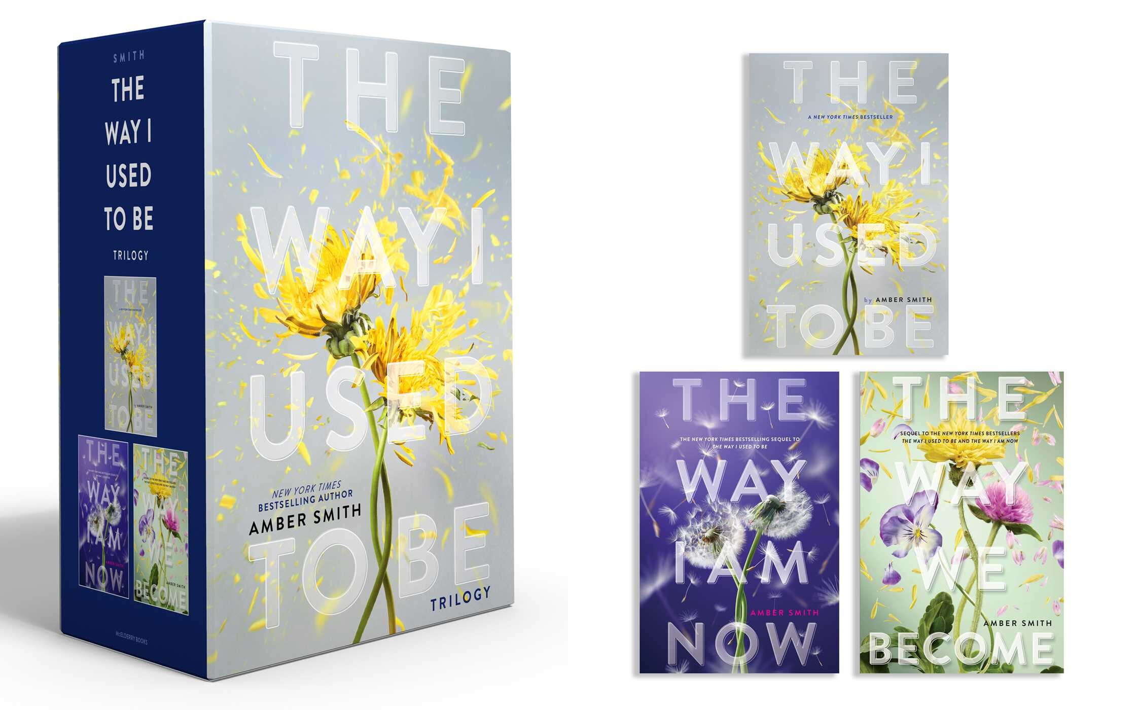 Way I Used to Be Trilogy (Boxed Set)