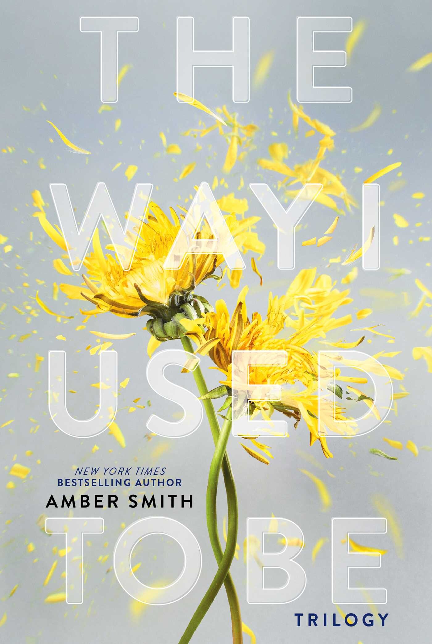 Way I Used to Be Trilogy (Boxed Set)