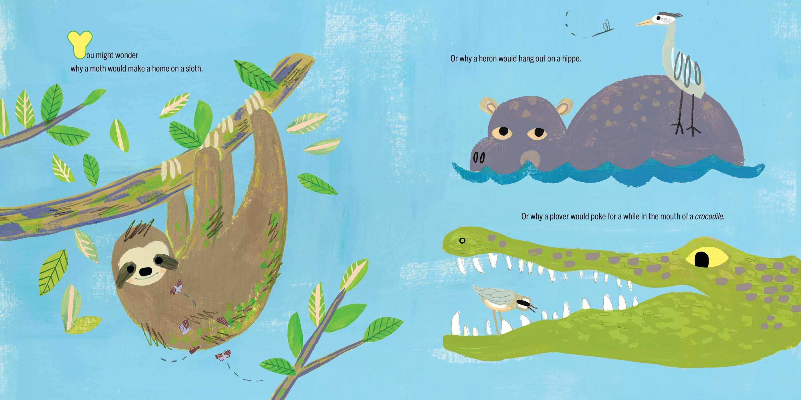 Moths on Sloths
