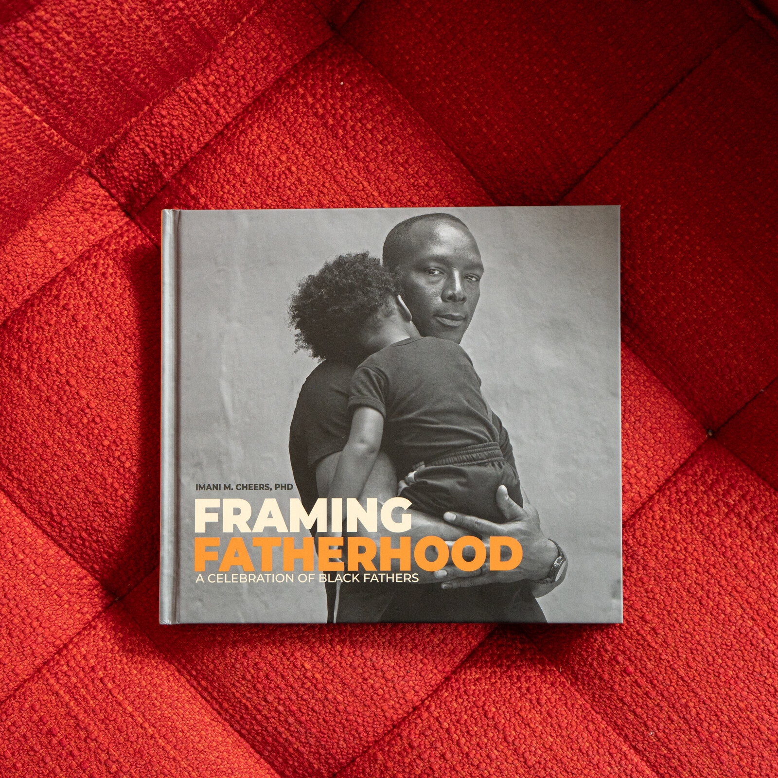 Framing Fatherhood