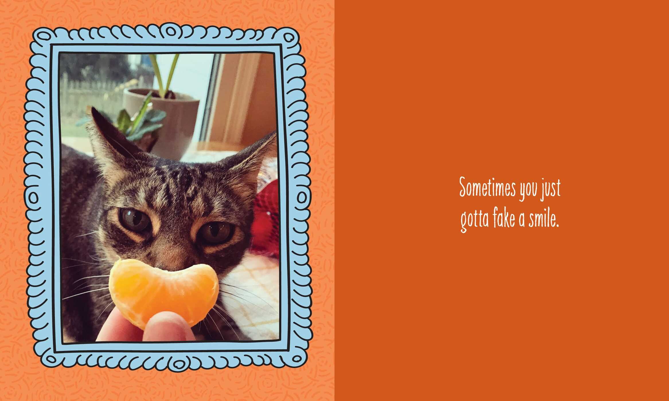 Cats Are Cheaper than Therapy