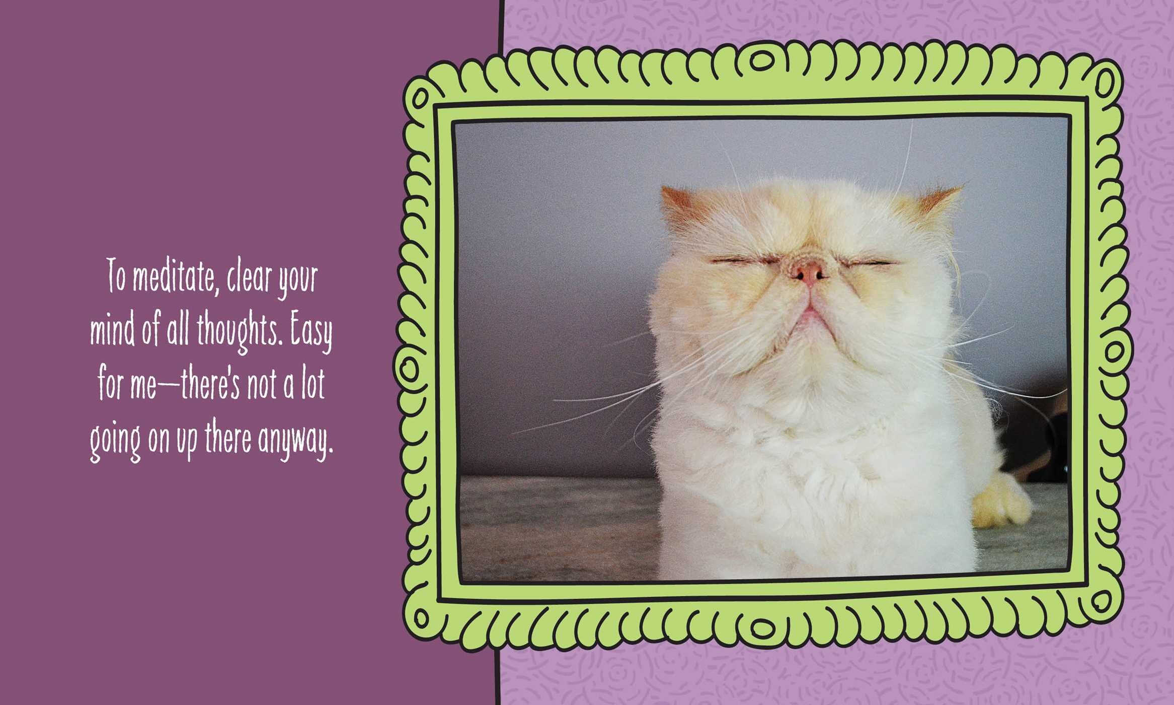 Cats Are Cheaper than Therapy