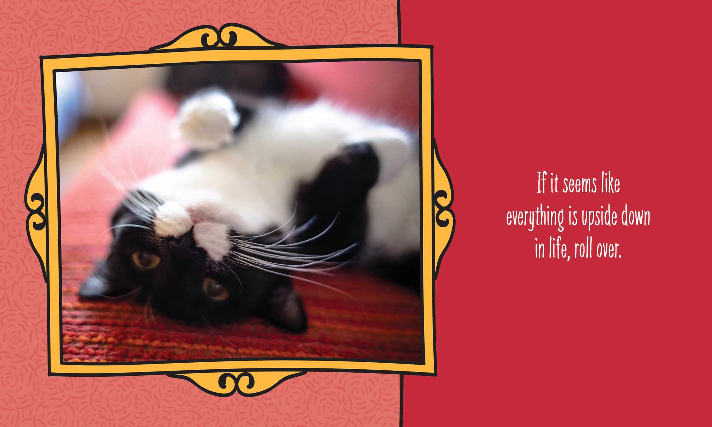 Cats Are Cheaper than Therapy