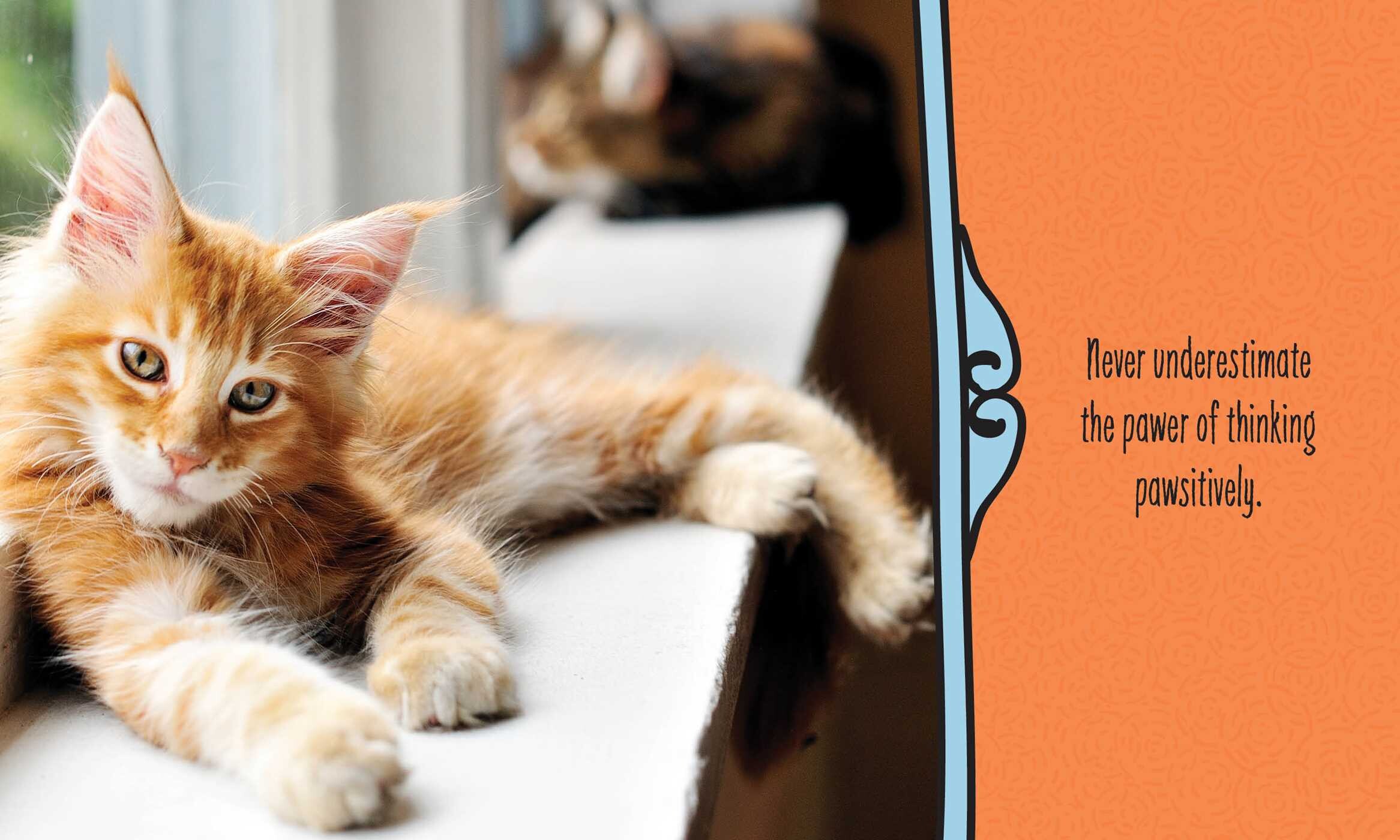 Cats Are Cheaper than Therapy