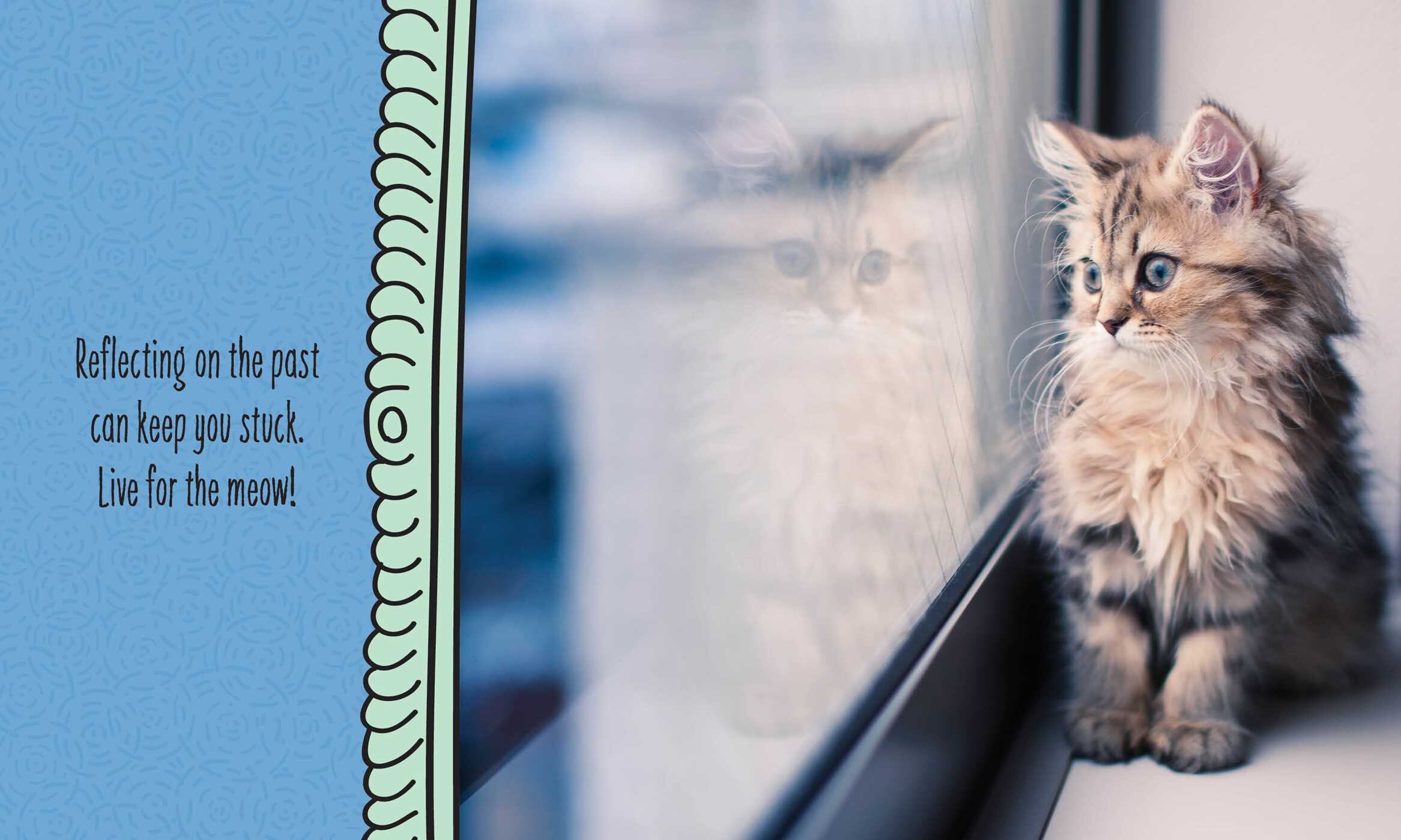 Cats Are Cheaper than Therapy