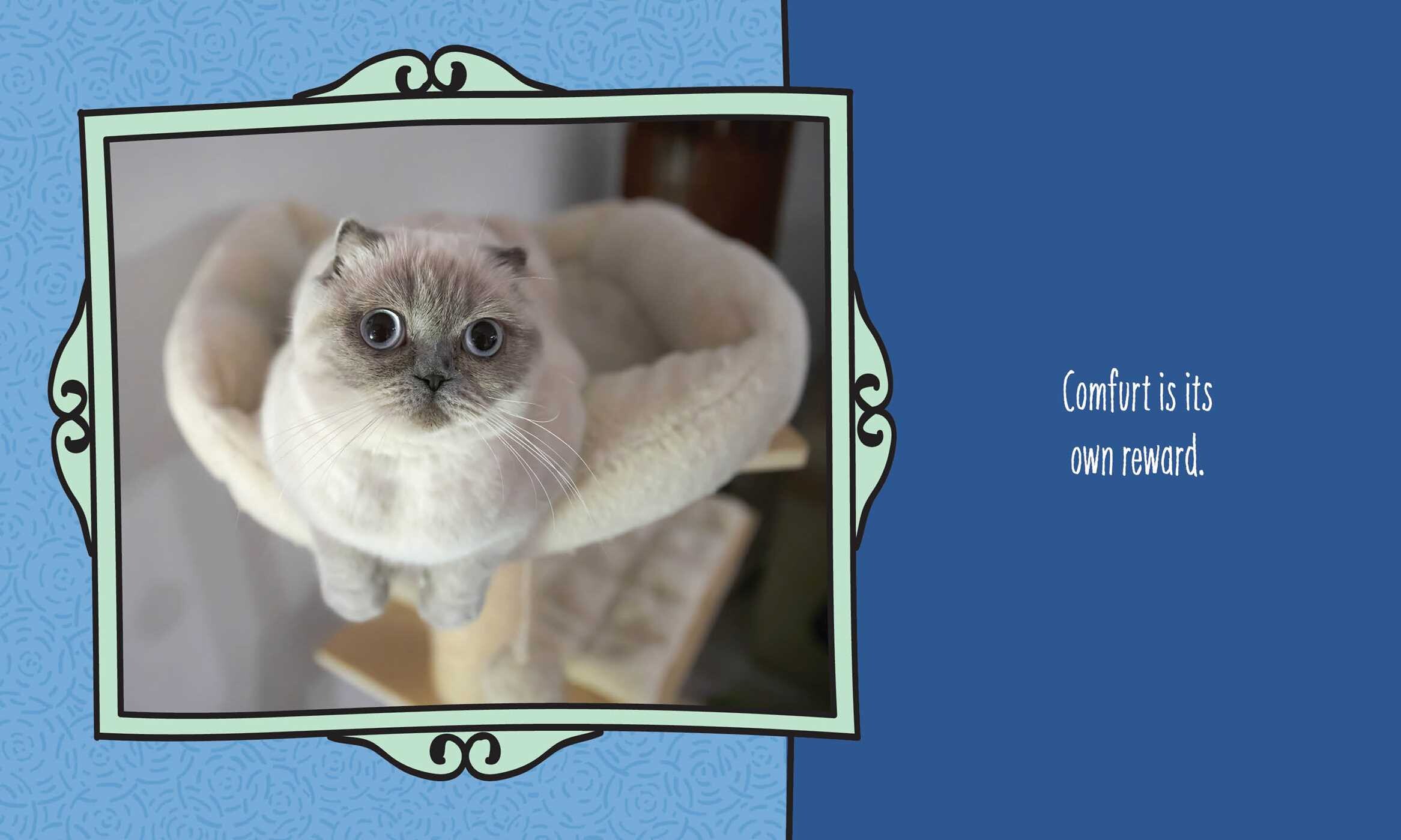 Cats Are Cheaper than Therapy
