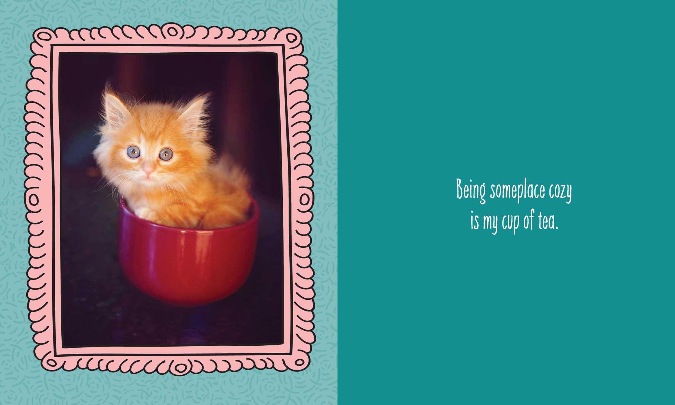 Cats Are Cheaper than Therapy