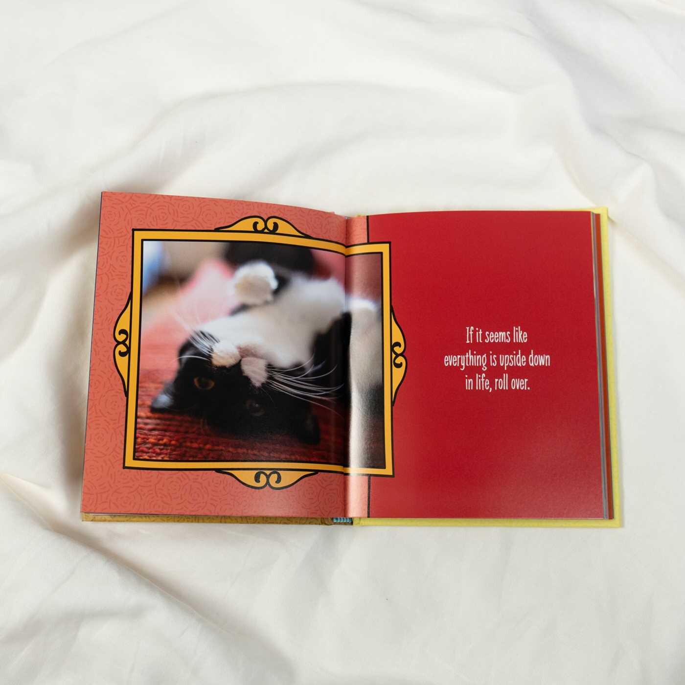 Cats Are Cheaper than Therapy