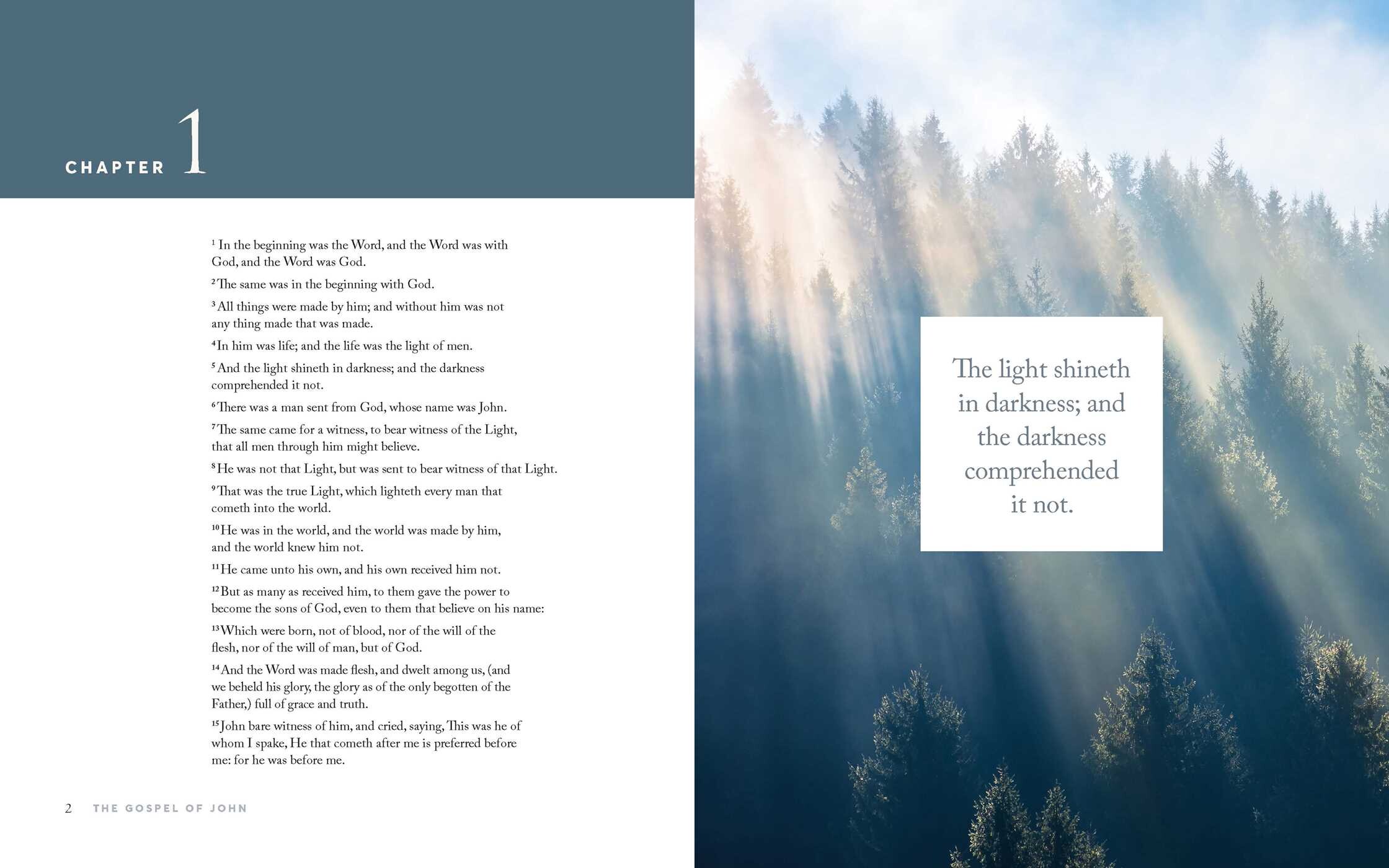 Gospel of John (KJV)