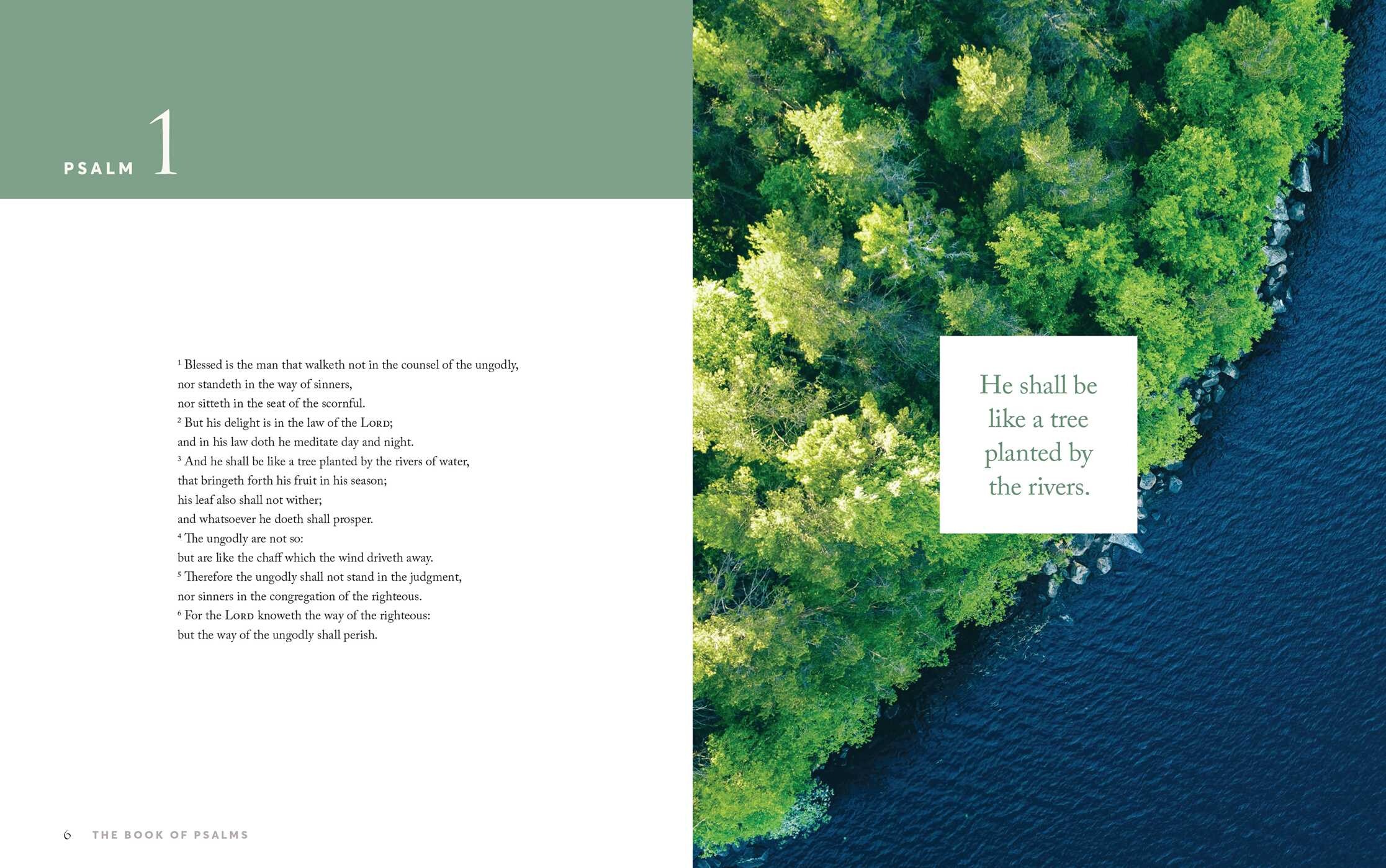 Book of Psalms (KJV)