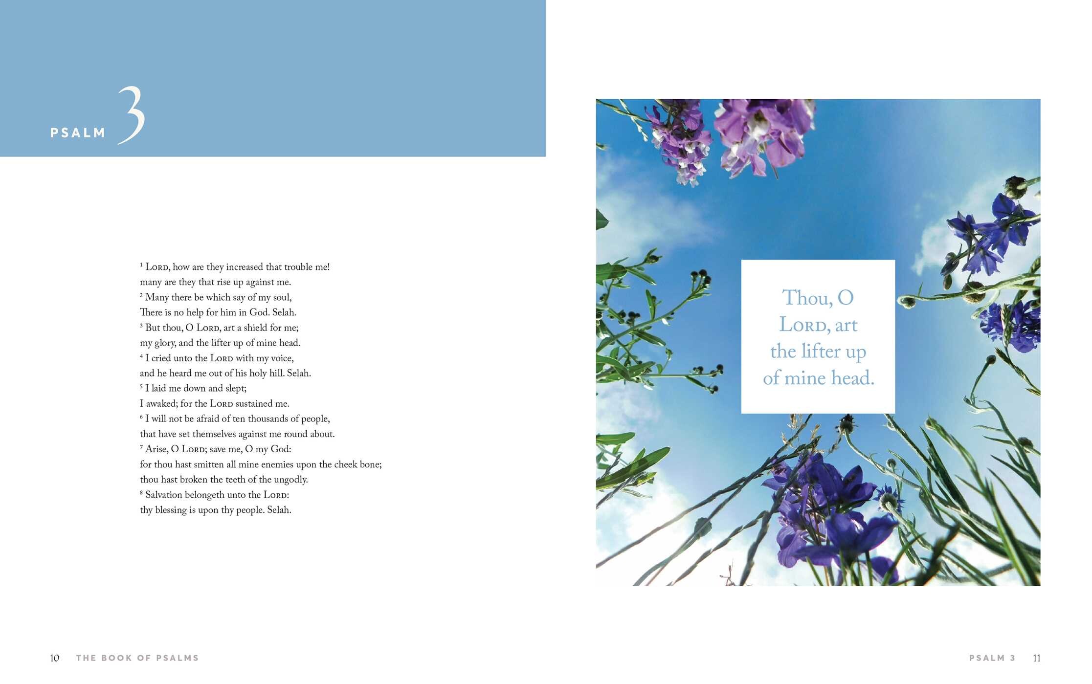 Book of Psalms (KJV)