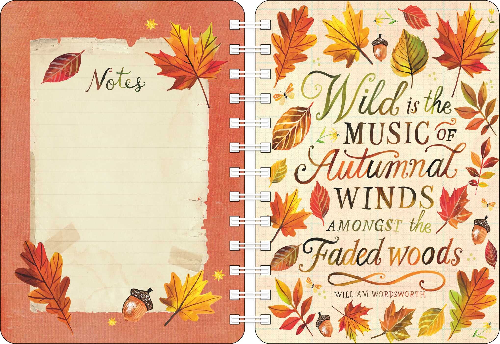 Katie Daisy 2027 Weekly Planner Calendar