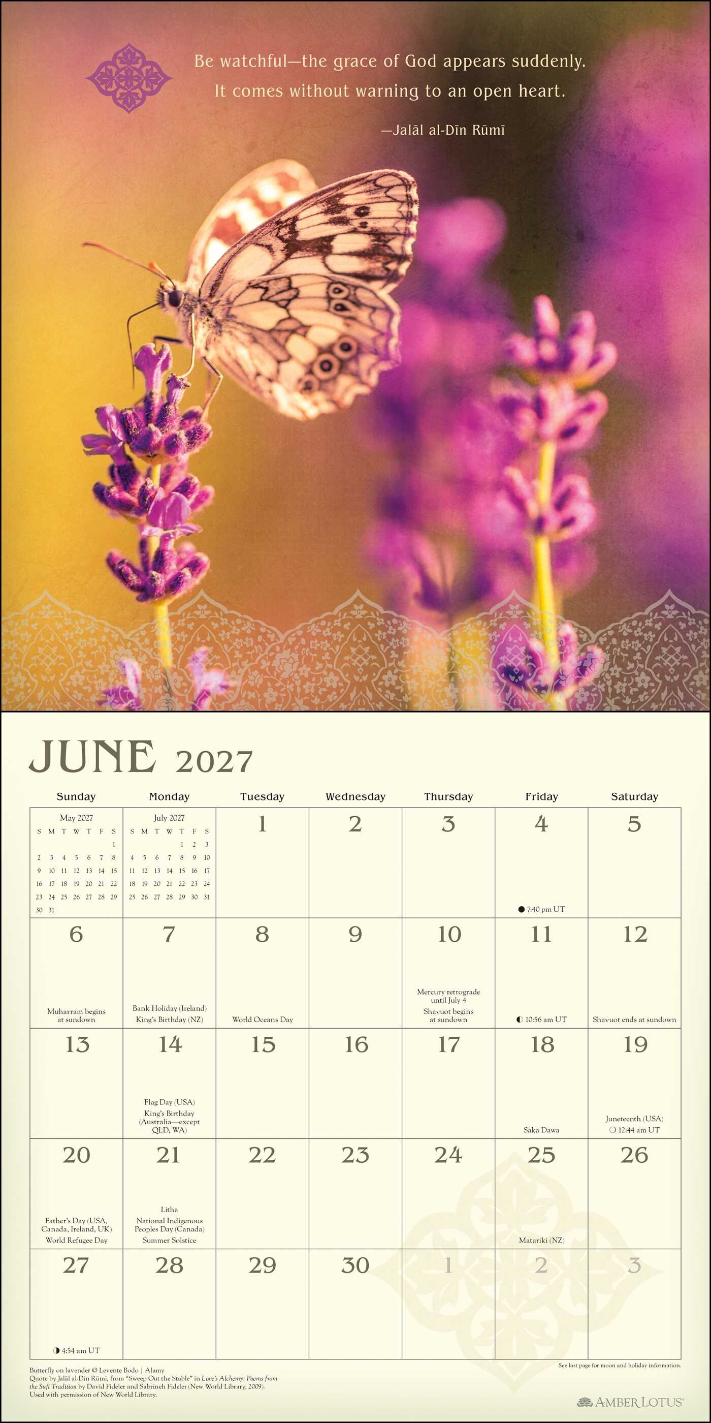 Meditation 2027 Wall Calendar