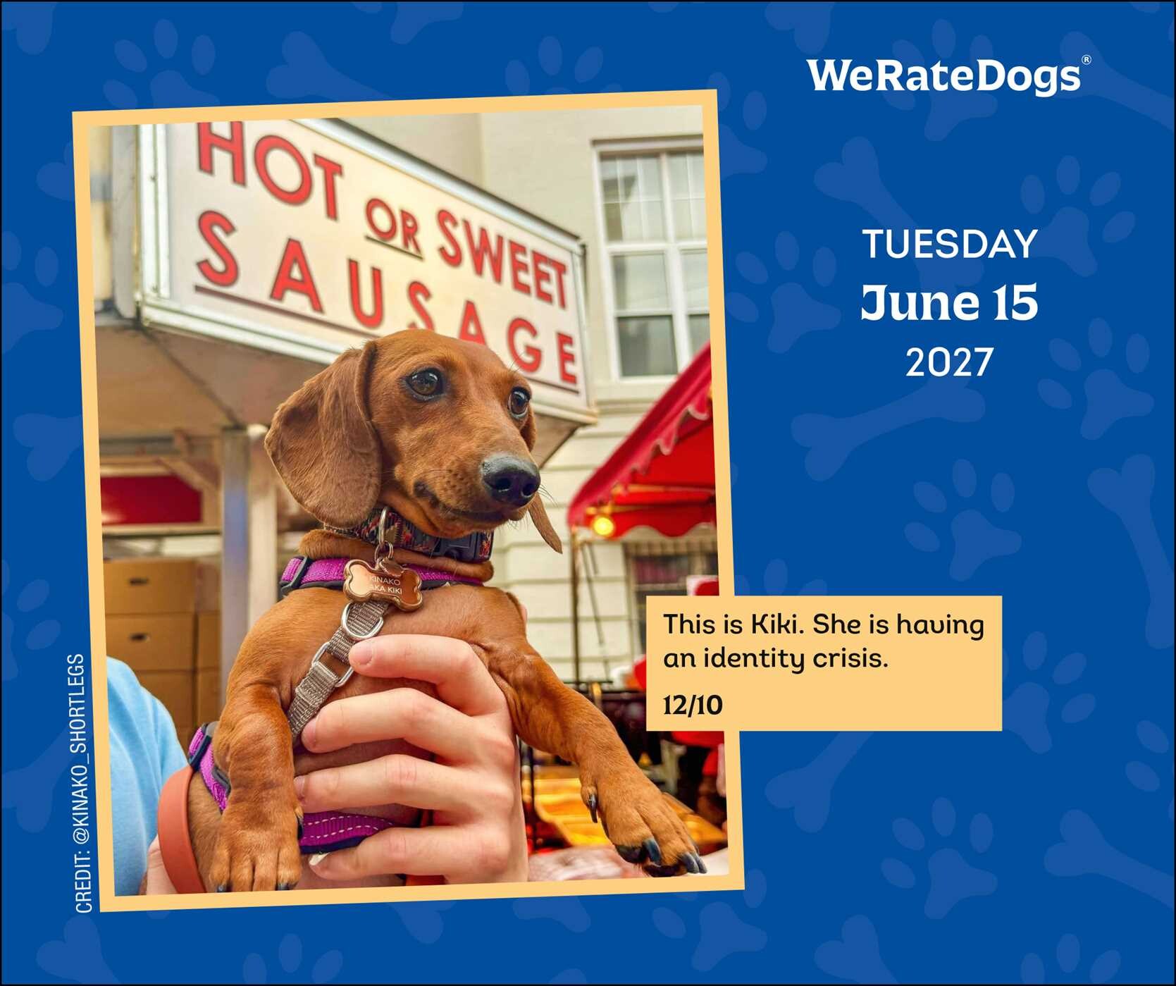 WeRateDogs 2027 Day-to-Day Calendar