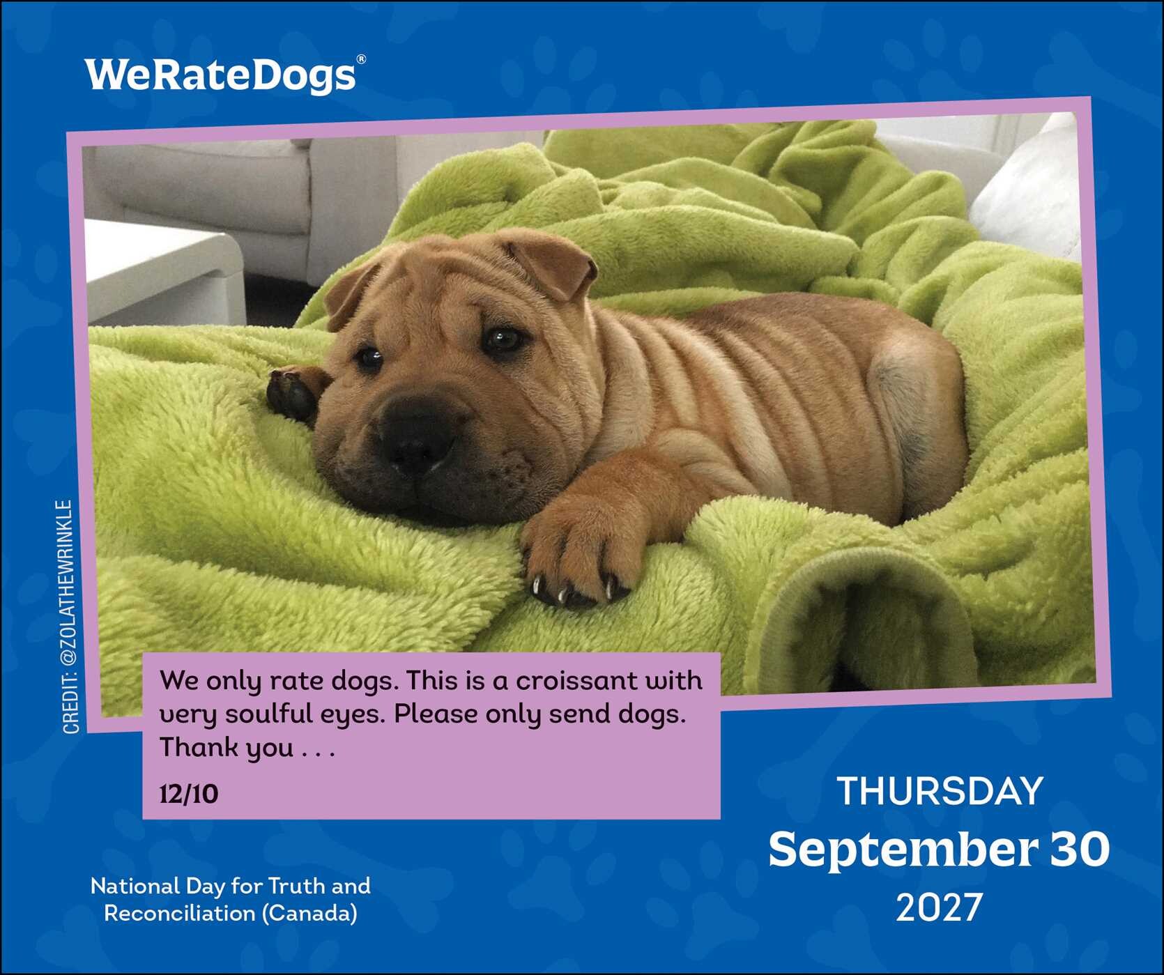WeRateDogs 2027 Day-to-Day Calendar