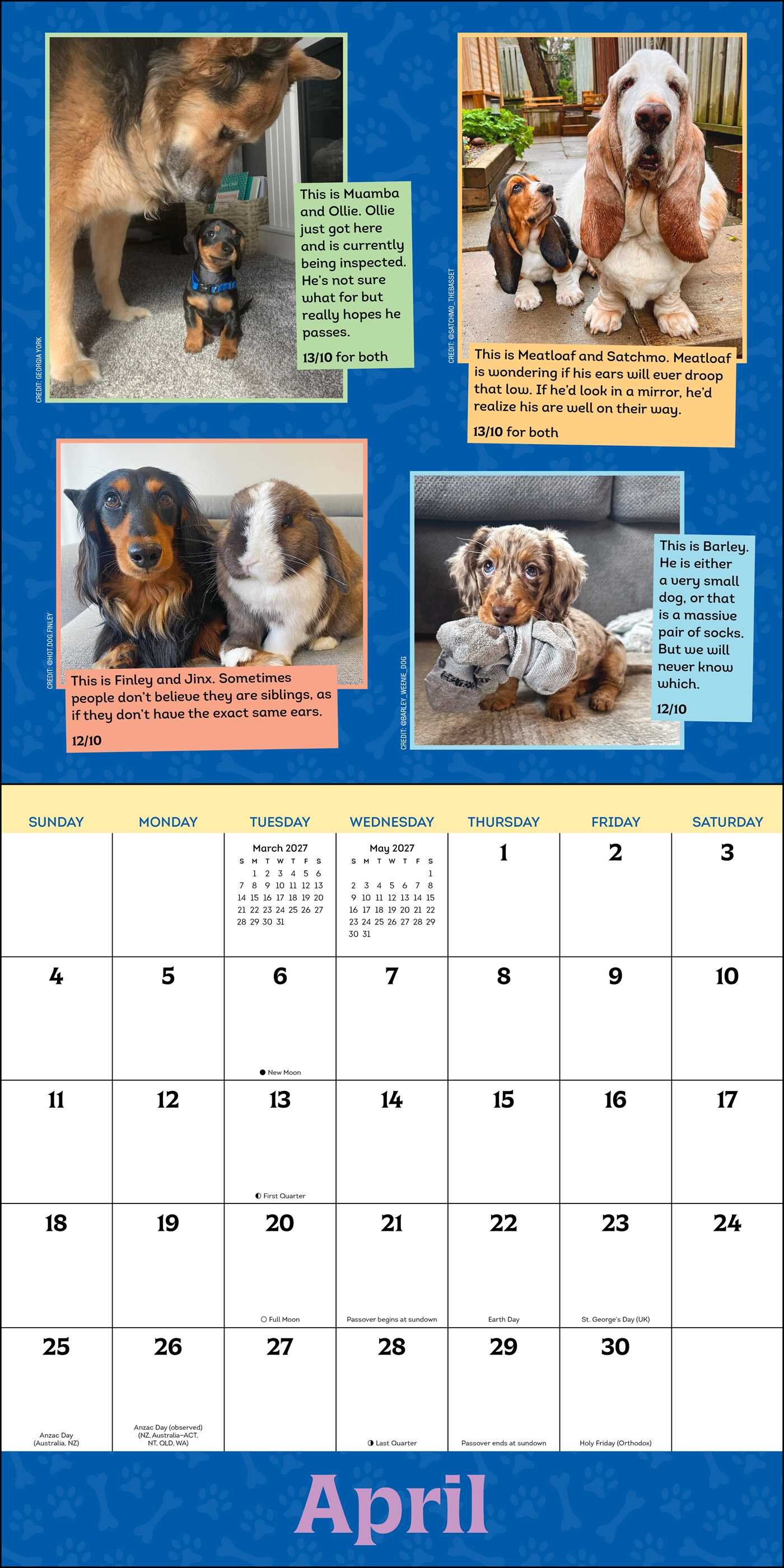 WeRateDogs 2027 Wall Calendar
