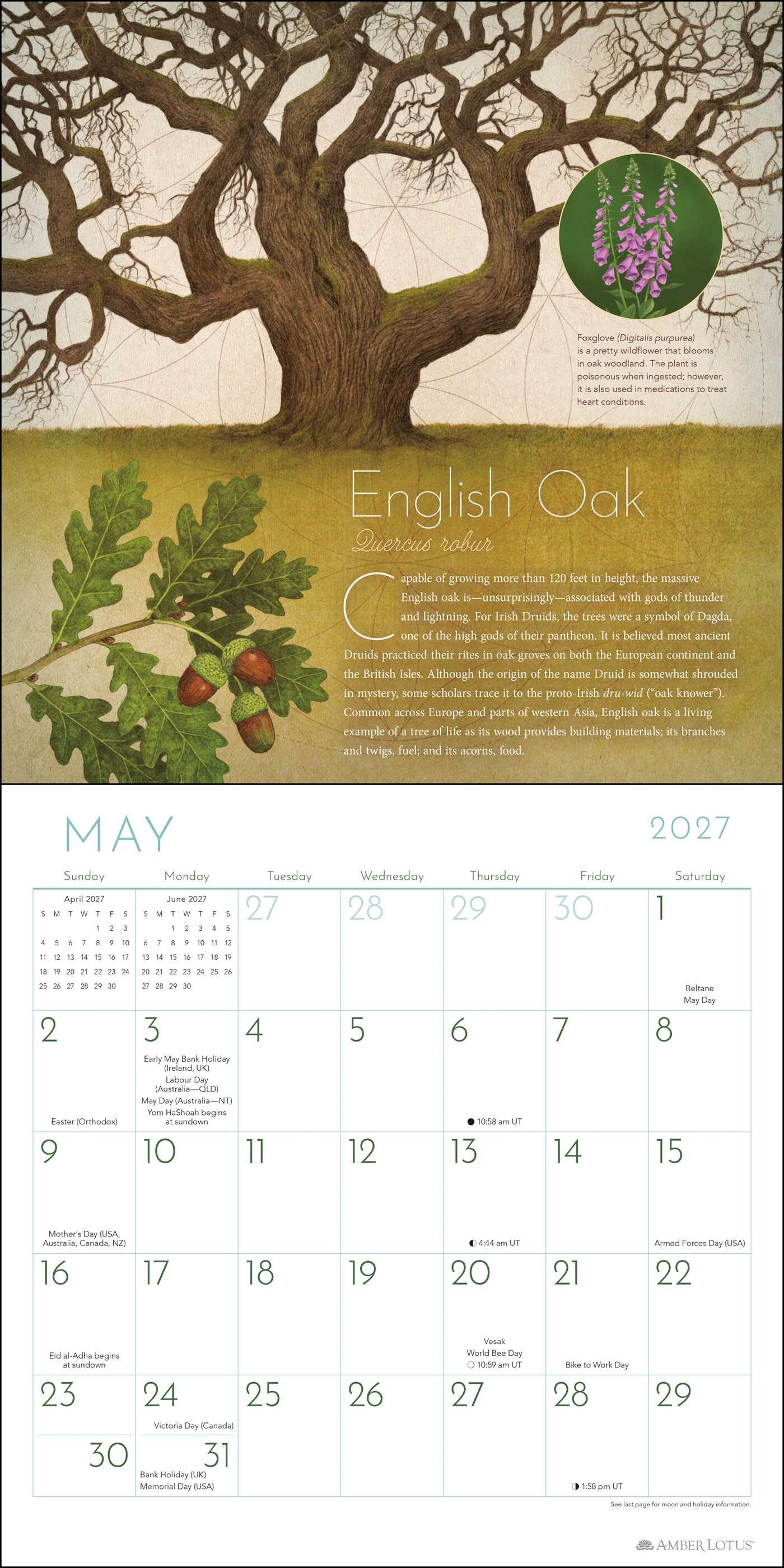 Trees of Life 2027 Wall Calendar