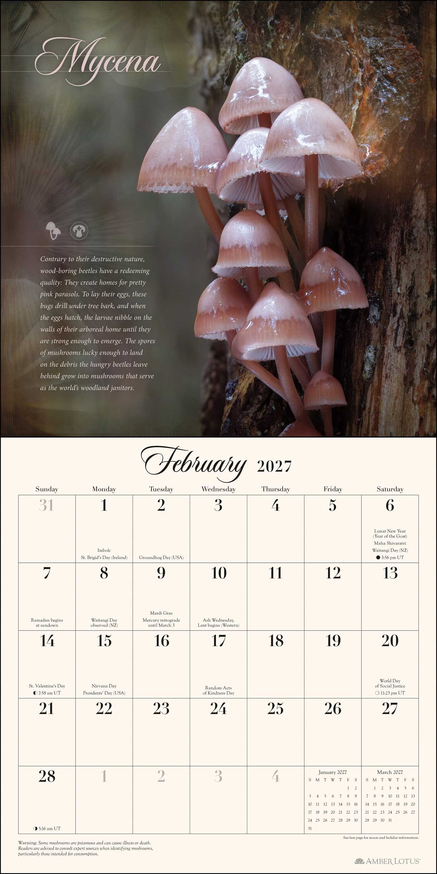 Miraculous Mushroom 2027 Wall Calendar
