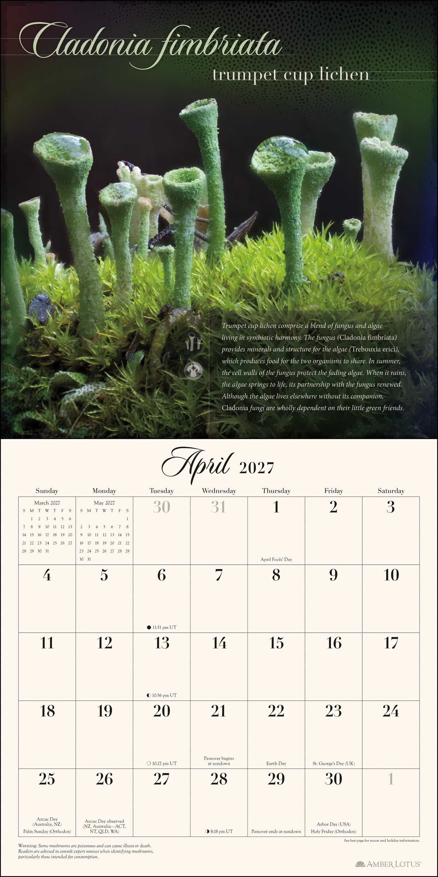 Miraculous Mushroom 2027 Wall Calendar