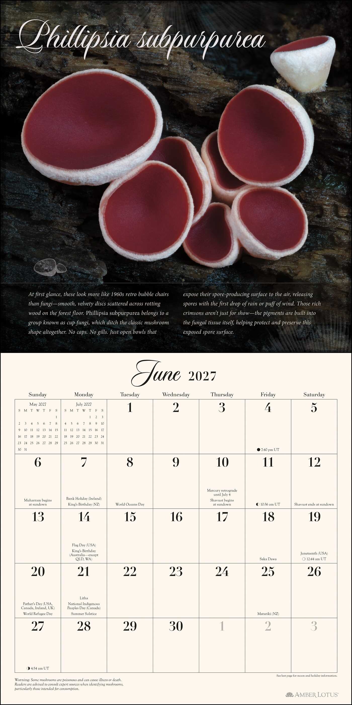 Miraculous Mushroom 2027 Wall Calendar