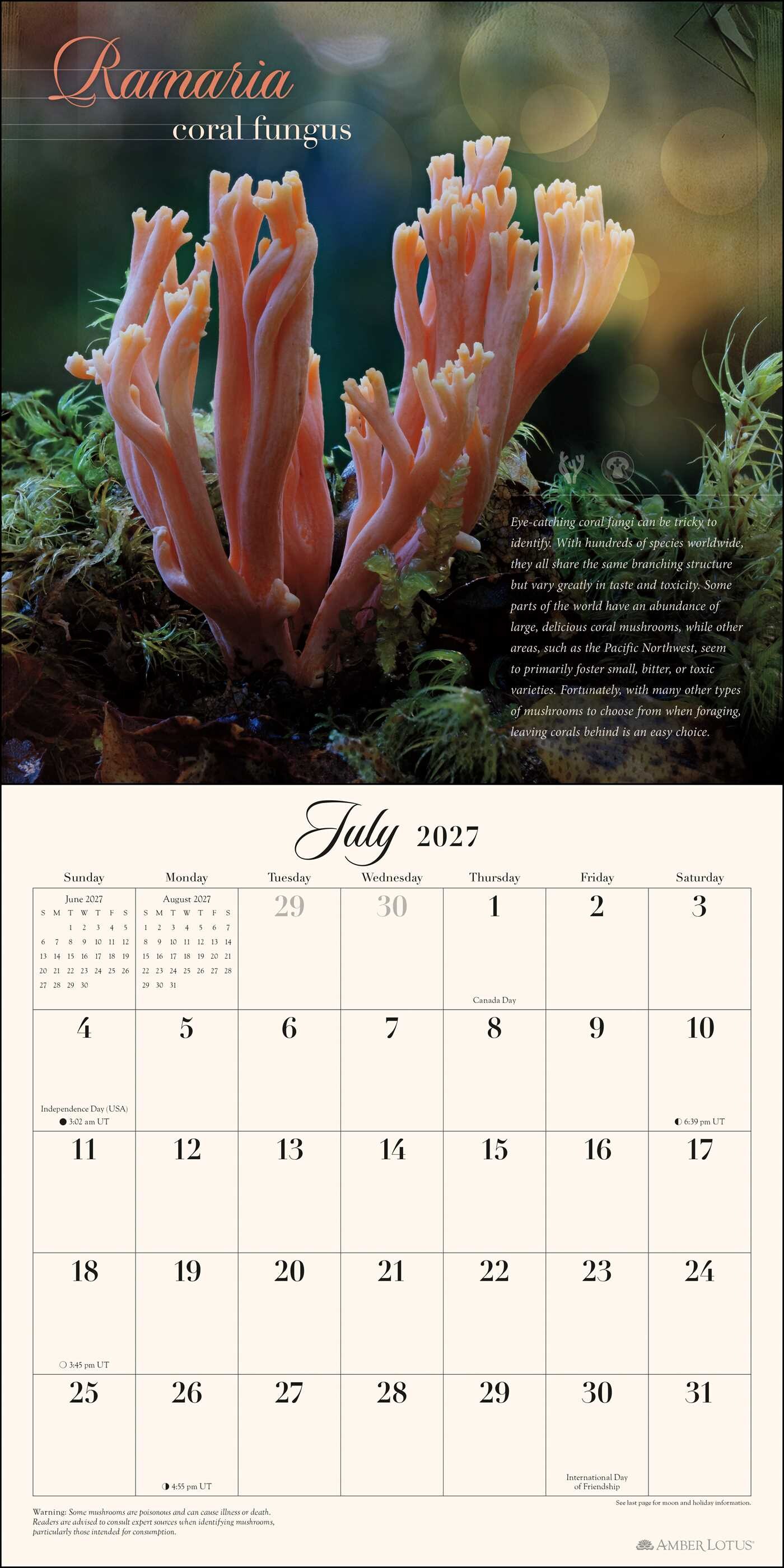 Miraculous Mushroom 2027 Wall Calendar