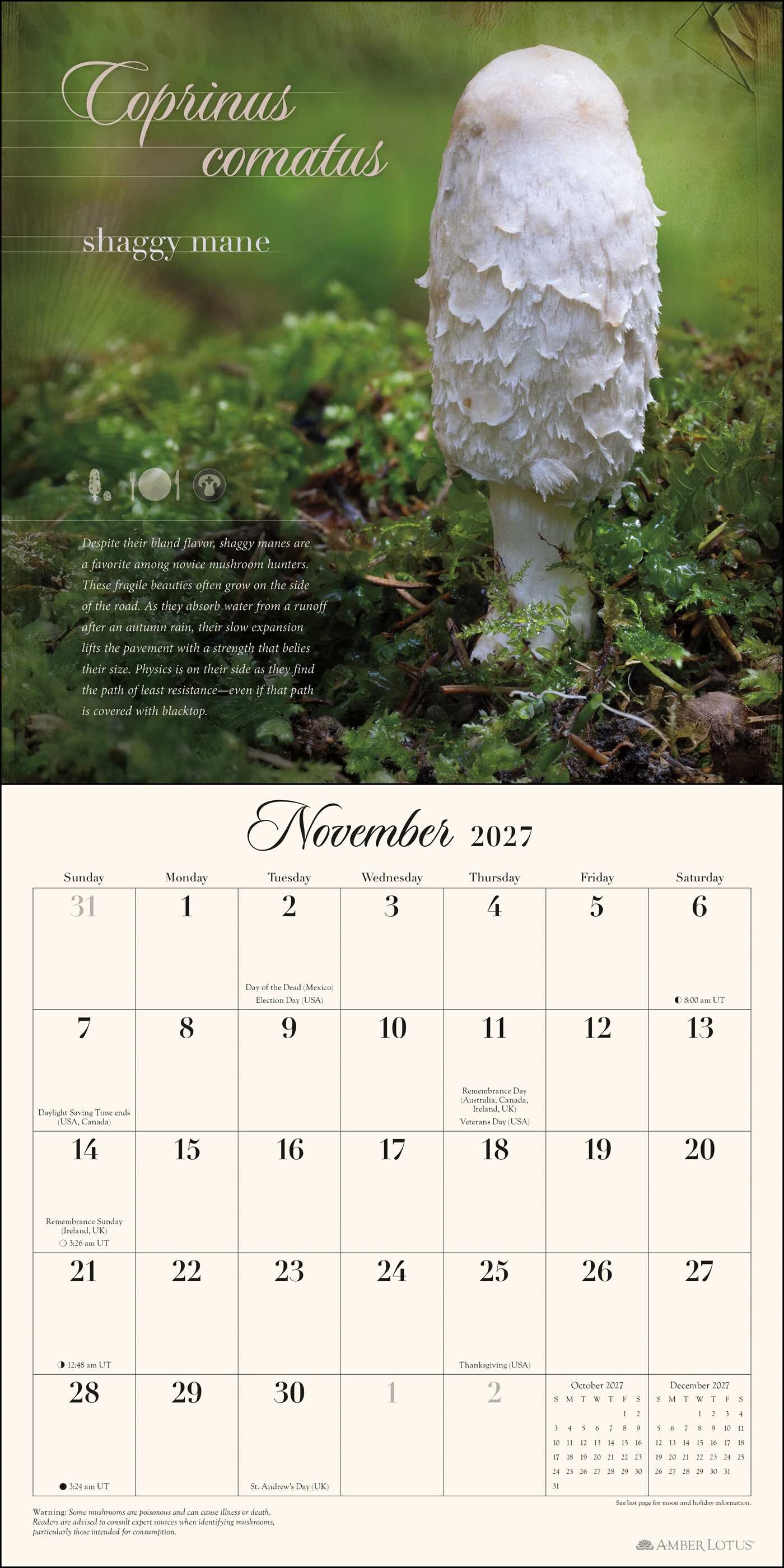 Miraculous Mushroom 2027 Wall Calendar