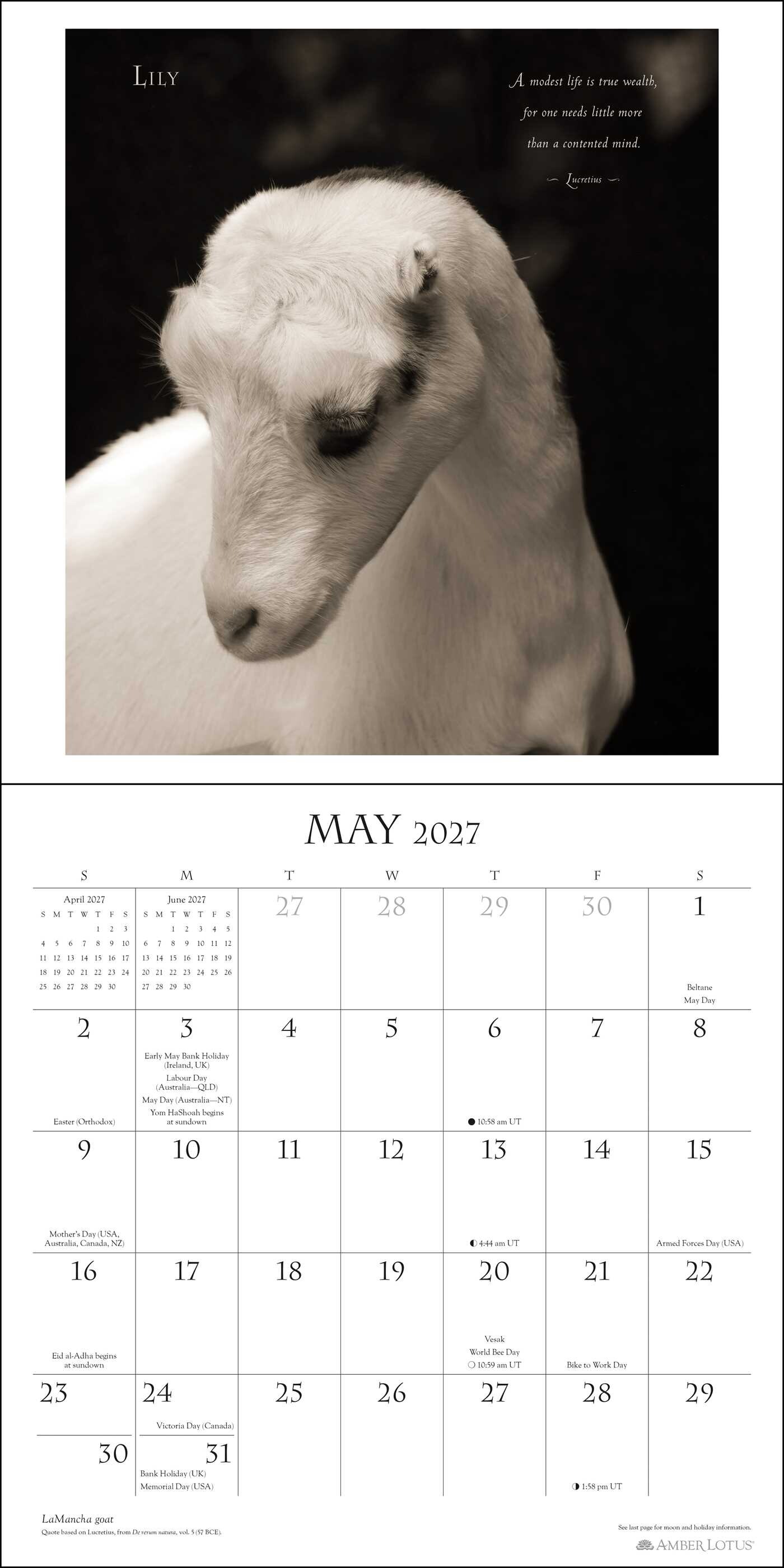 I Am Goat 2027 Wall Calendar
