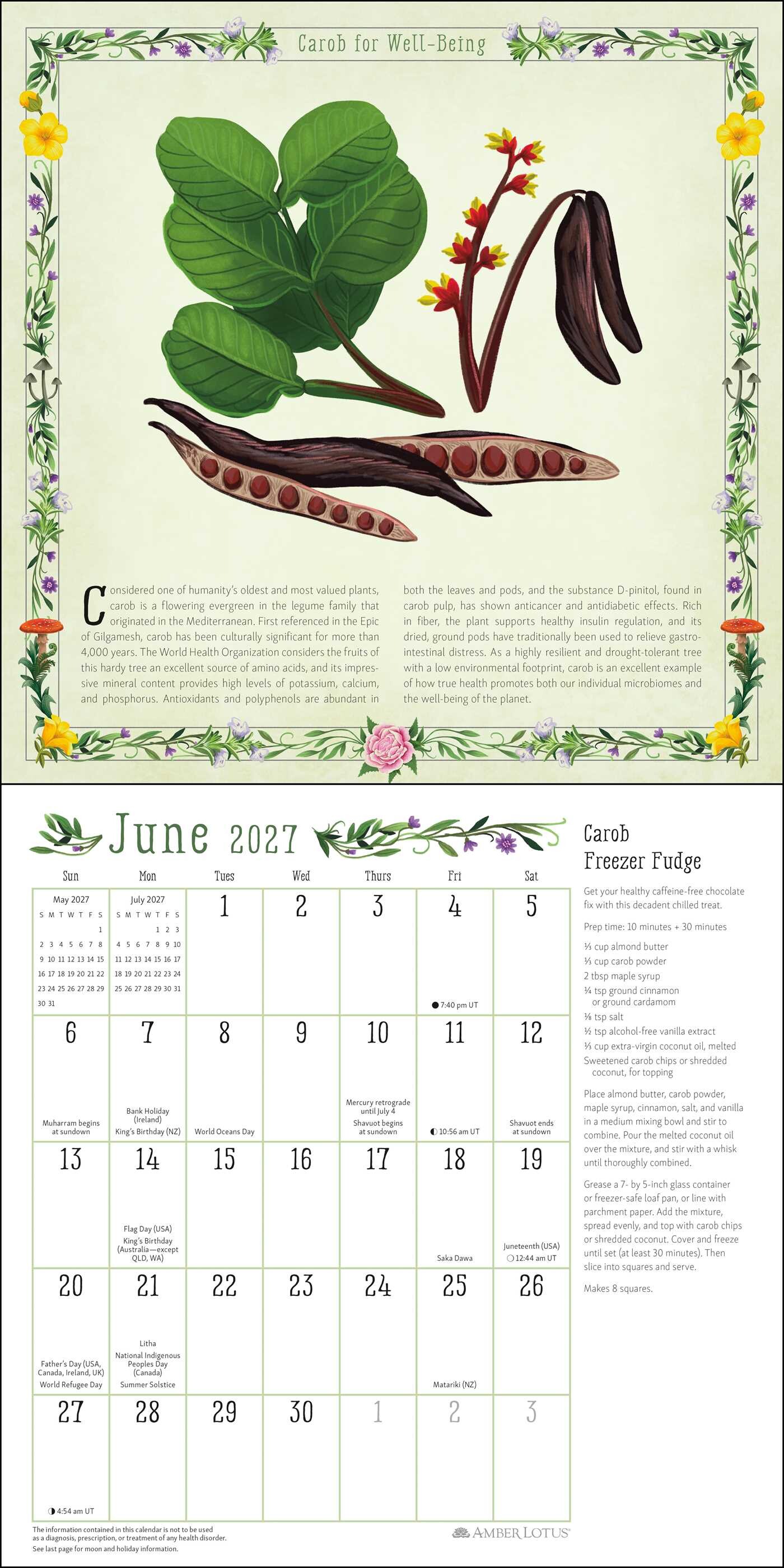Kitchen Witch 2027 Wall Calendar
