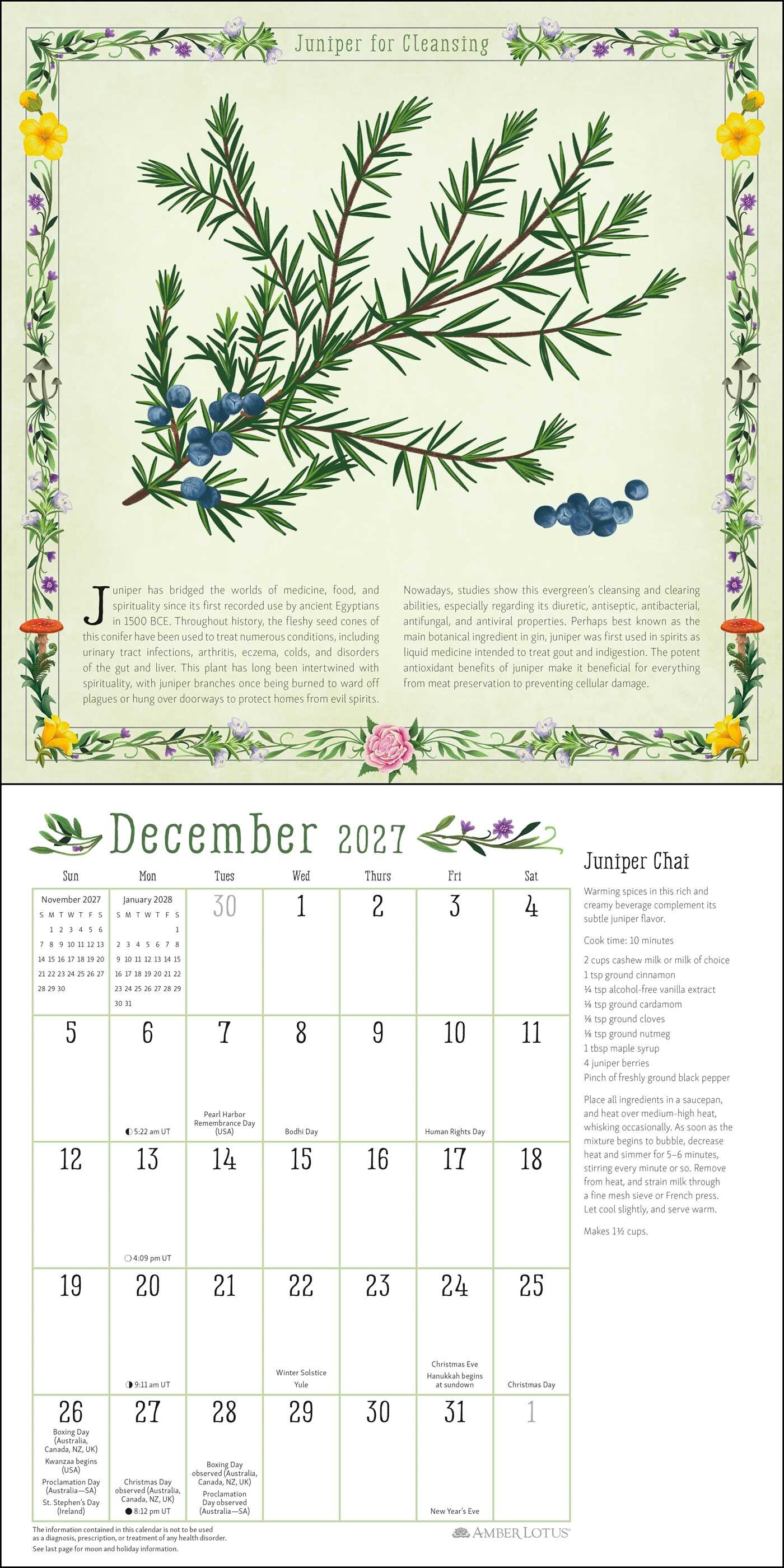 Kitchen Witch 2027 Wall Calendar