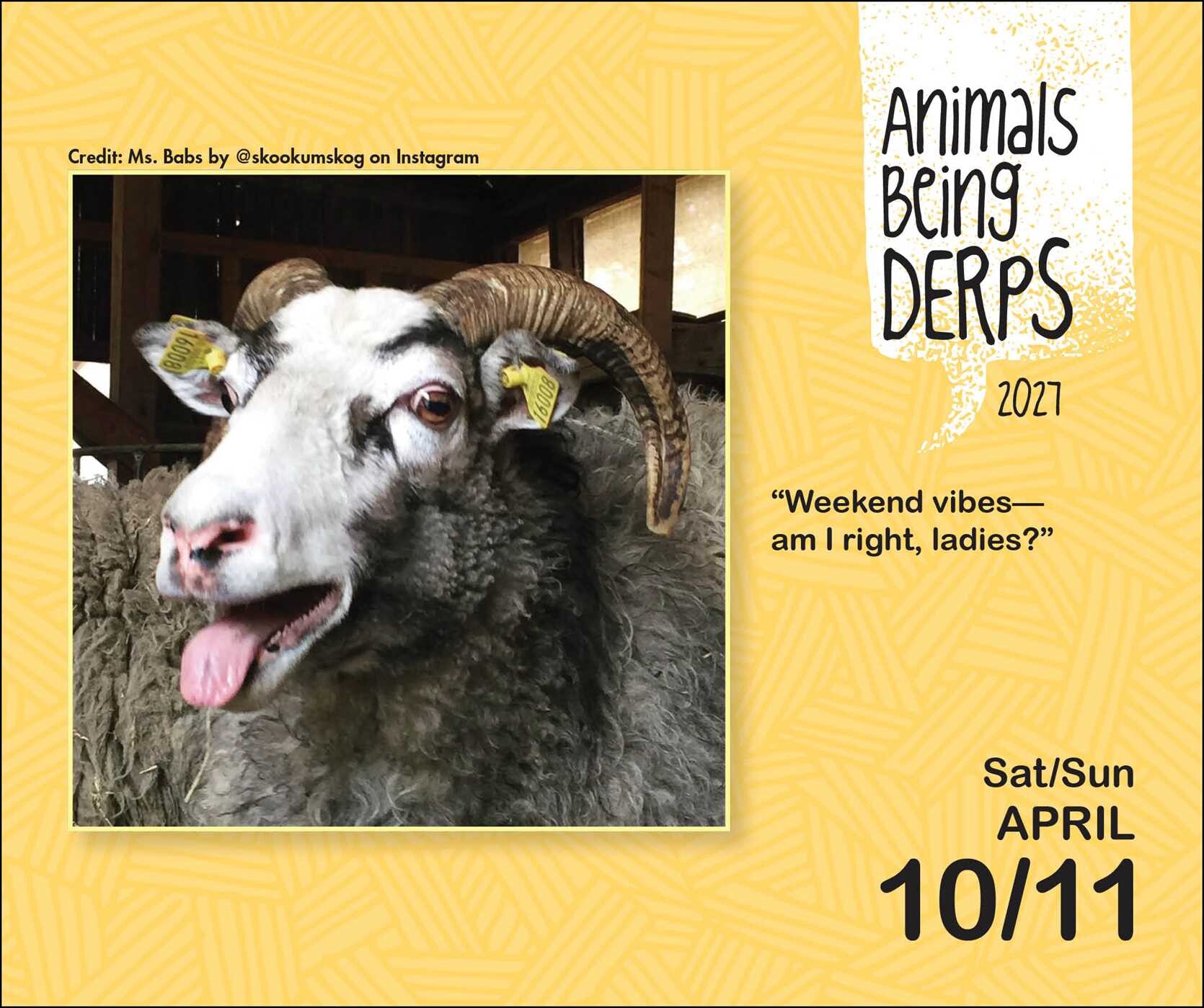 Animals Being Derps 2027 Day-to-Day Calendar